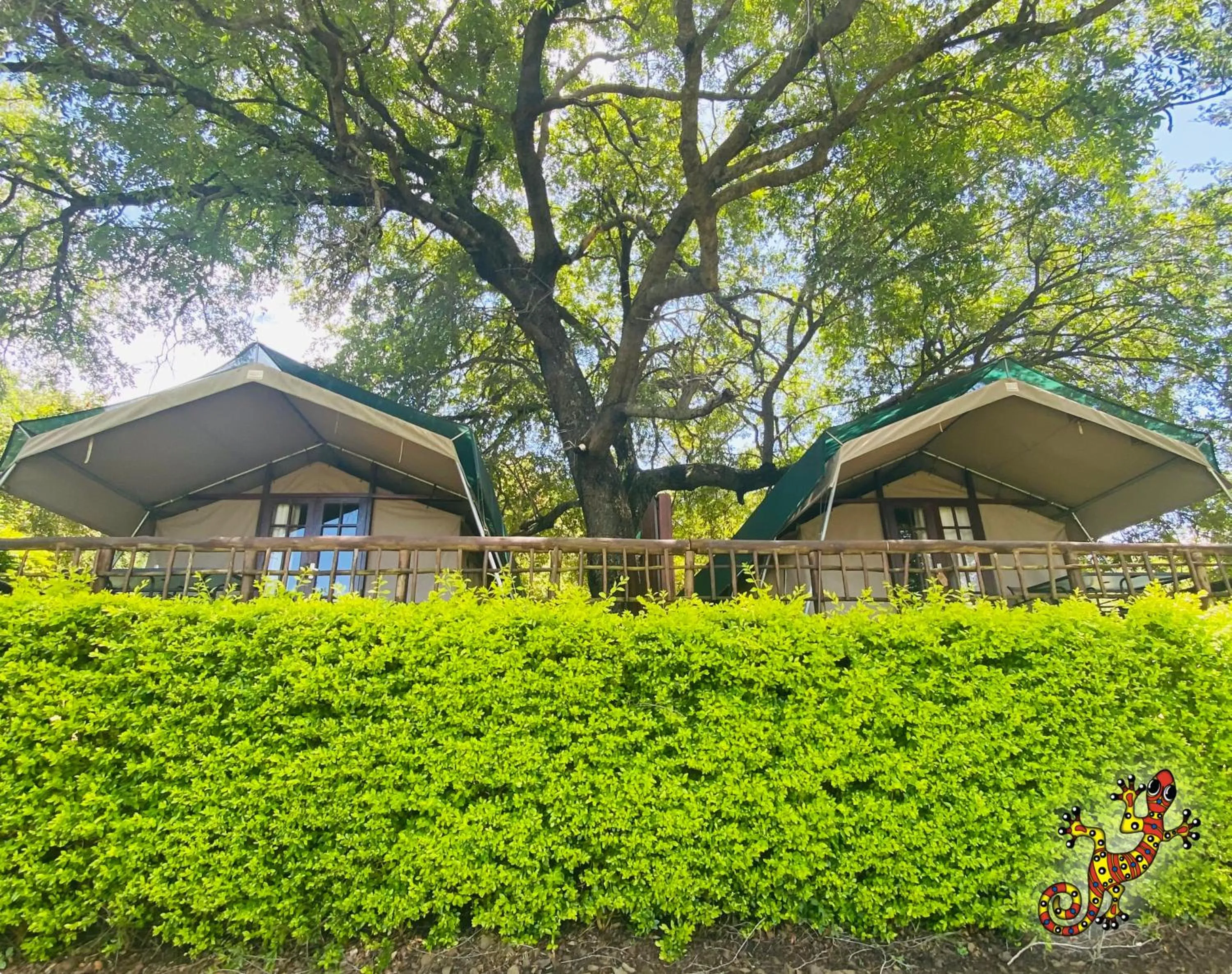 Facade/entrance in Sabie River Bush Lodge