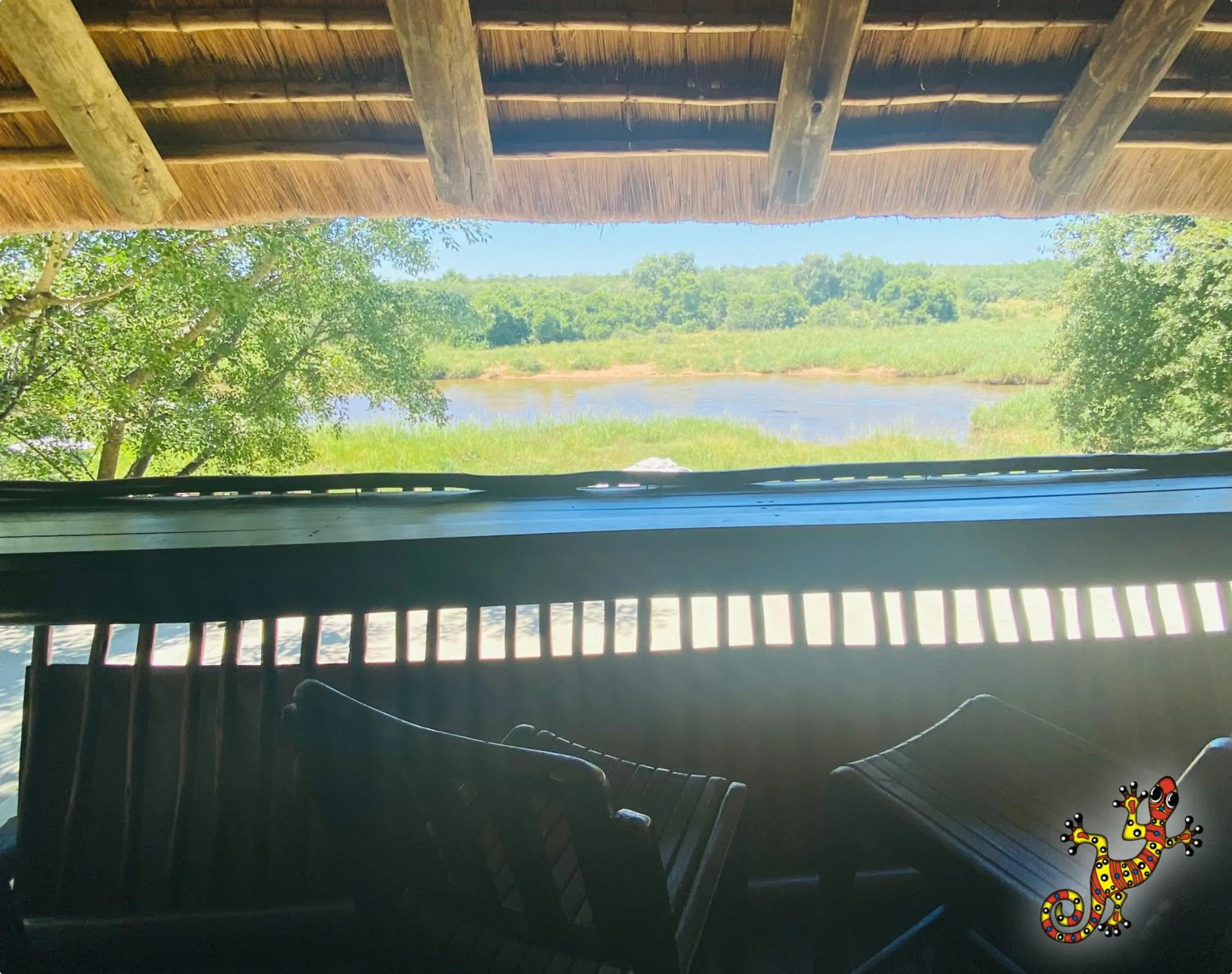 View (from property/room) in Sabie River Bush Lodge