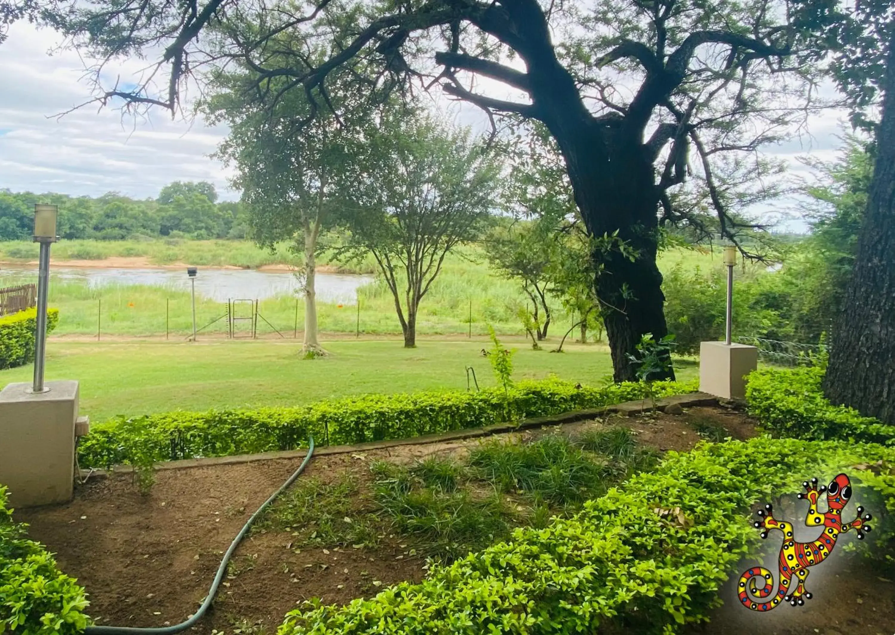 Standard Luxury Room 3 in Sabie River Bush Lodge Standard Luxury Room 3 in Sabie River Bush Lodge