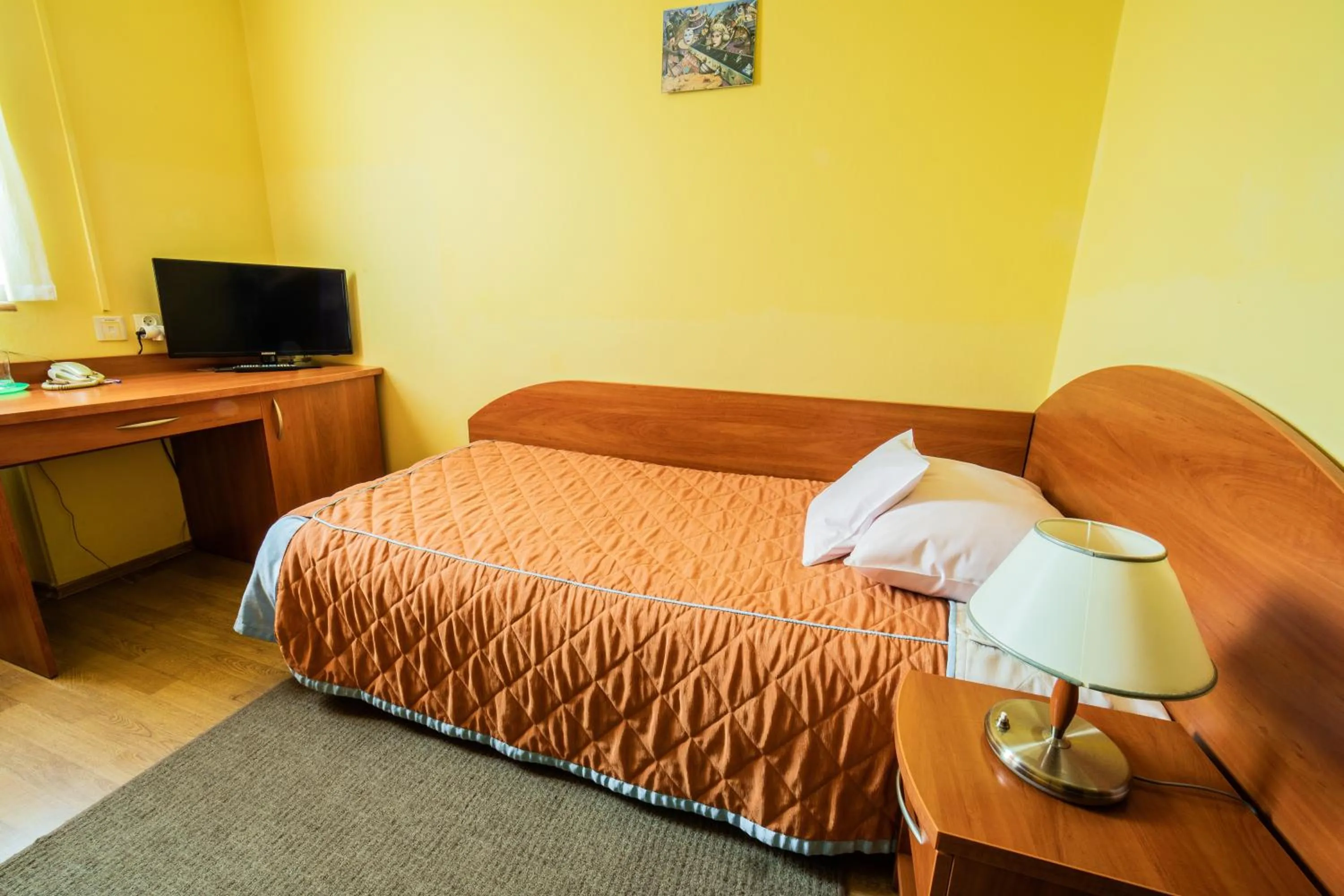Single Room in Hotel Wald