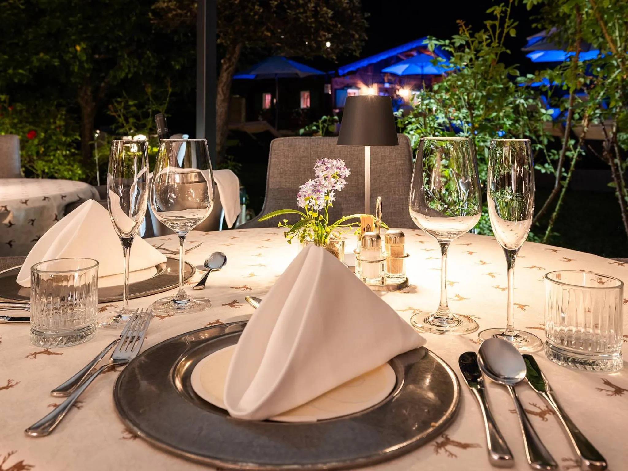 Balcony/Terrace in Alpenhotel Tirolerhof