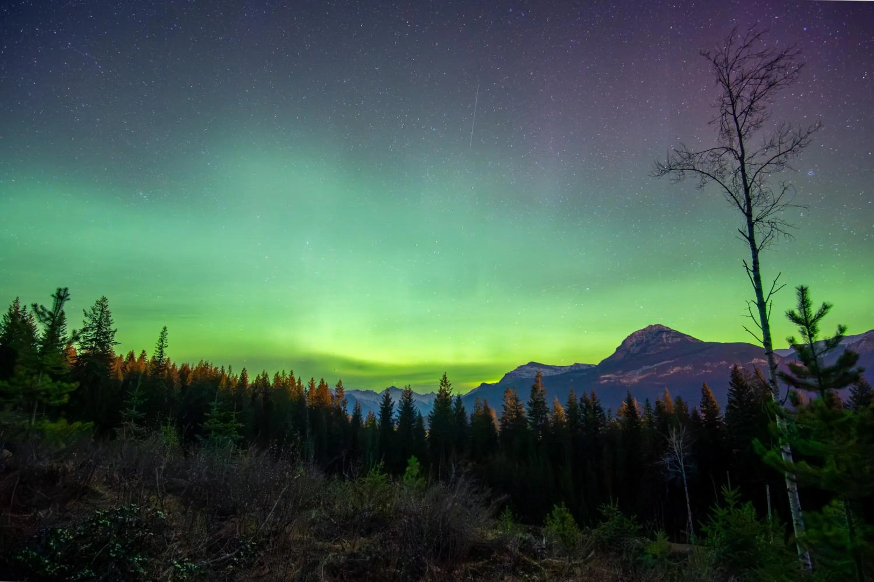 Night in Vagabond Lodge at Kicking Horse