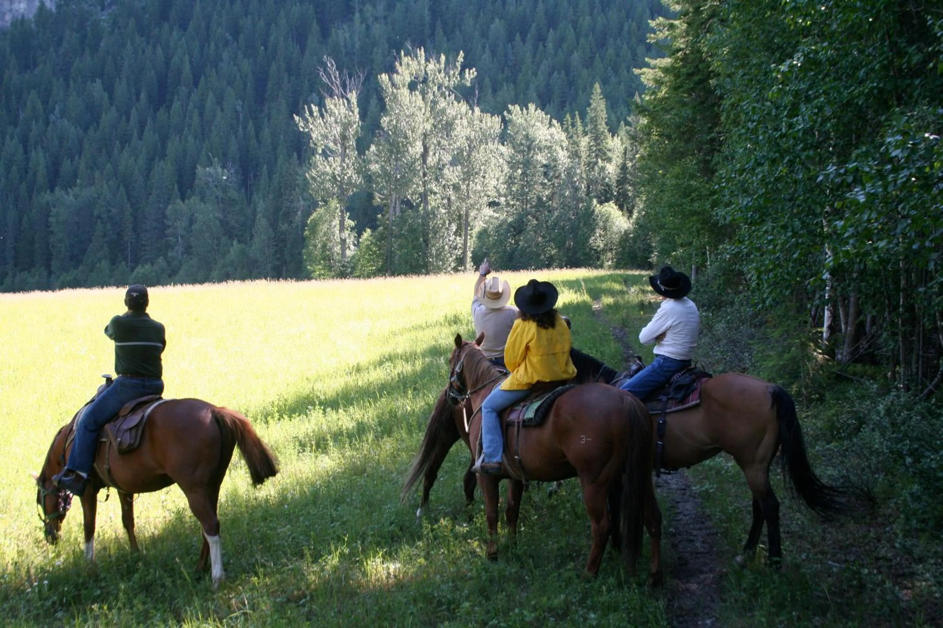 Horse-riding in Vagabond Lodge at Kicking Horse