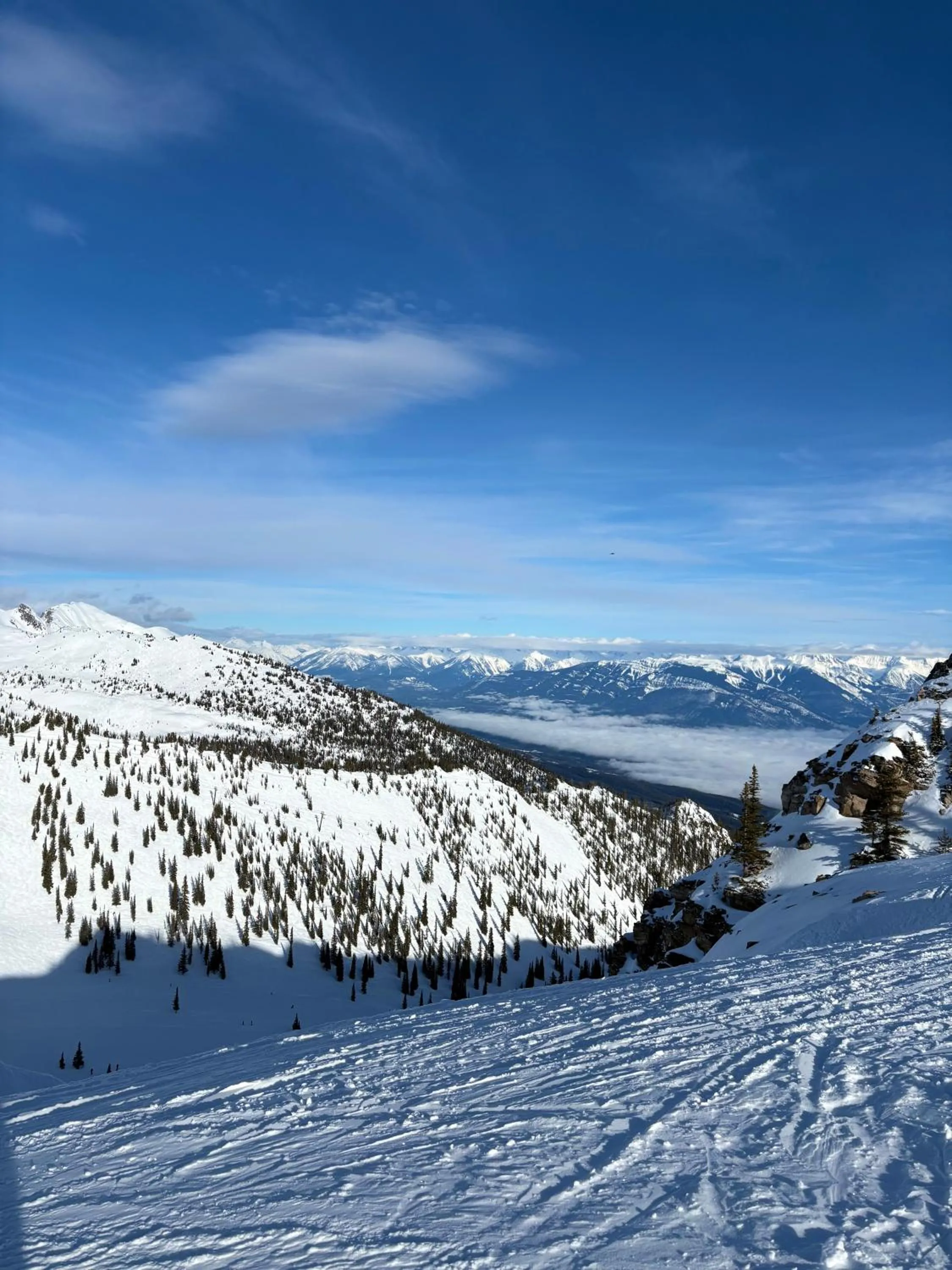 Skiing in Vagabond Lodge at Kicking Horse