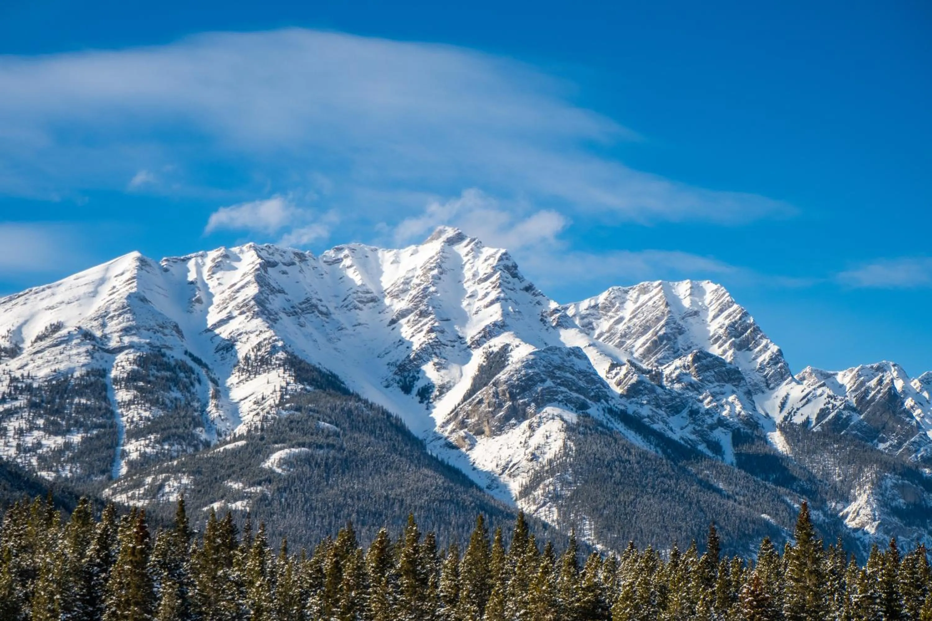 Natural landscape in Vagabond Lodge at Kicking Horse
