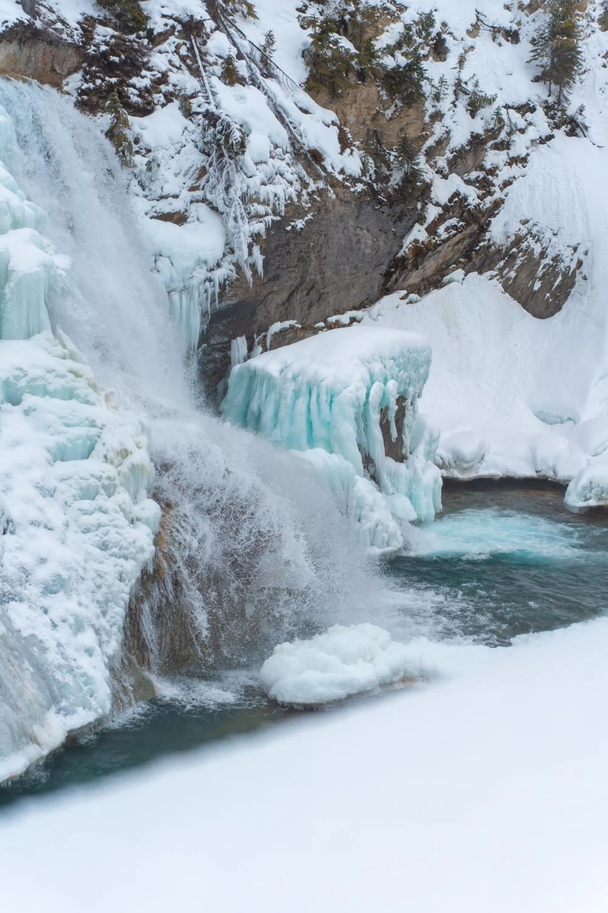Natural landscape in Vagabond Lodge at Kicking Horse
