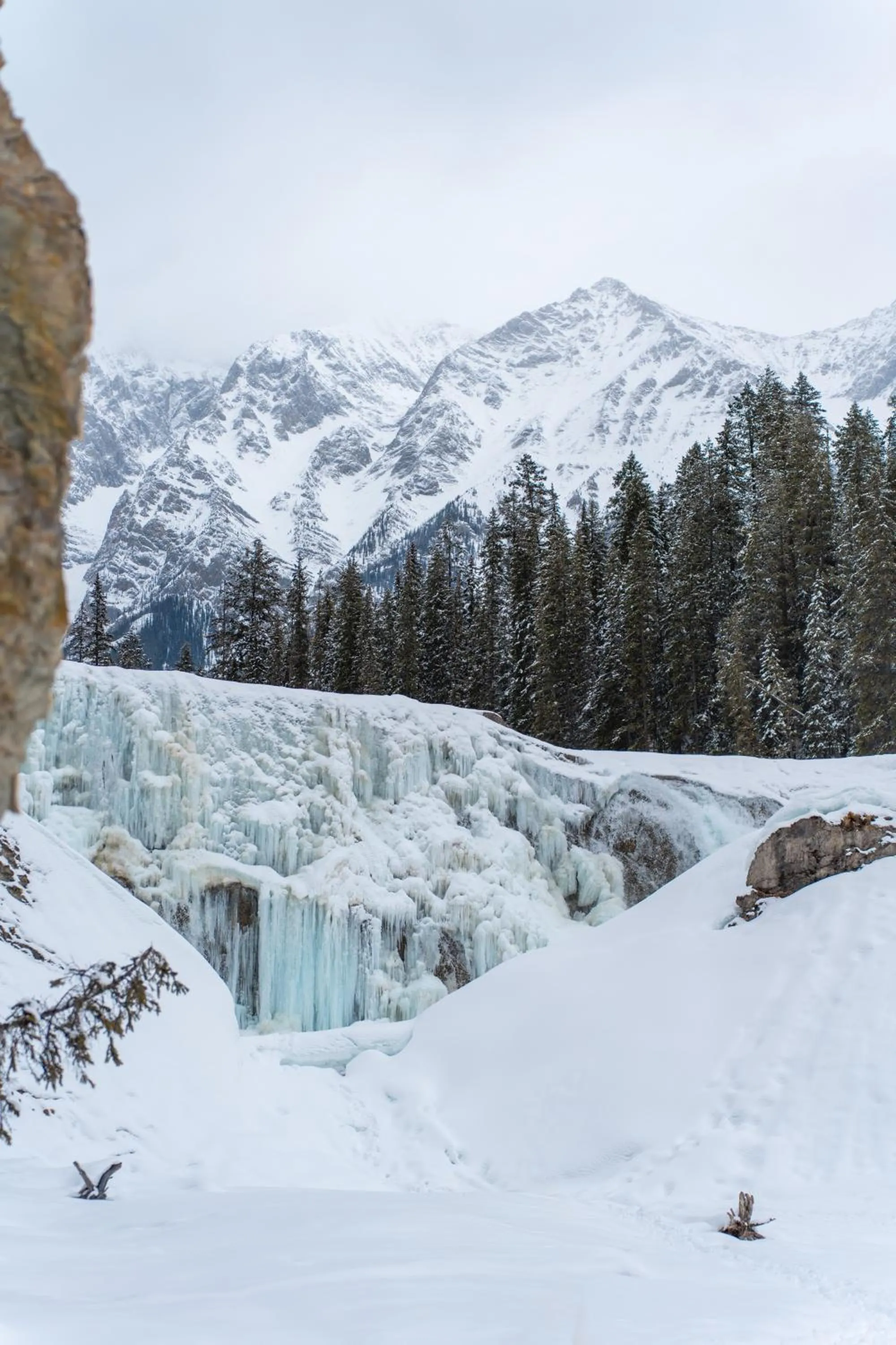 Neighbourhood in Vagabond Lodge at Kicking Horse
