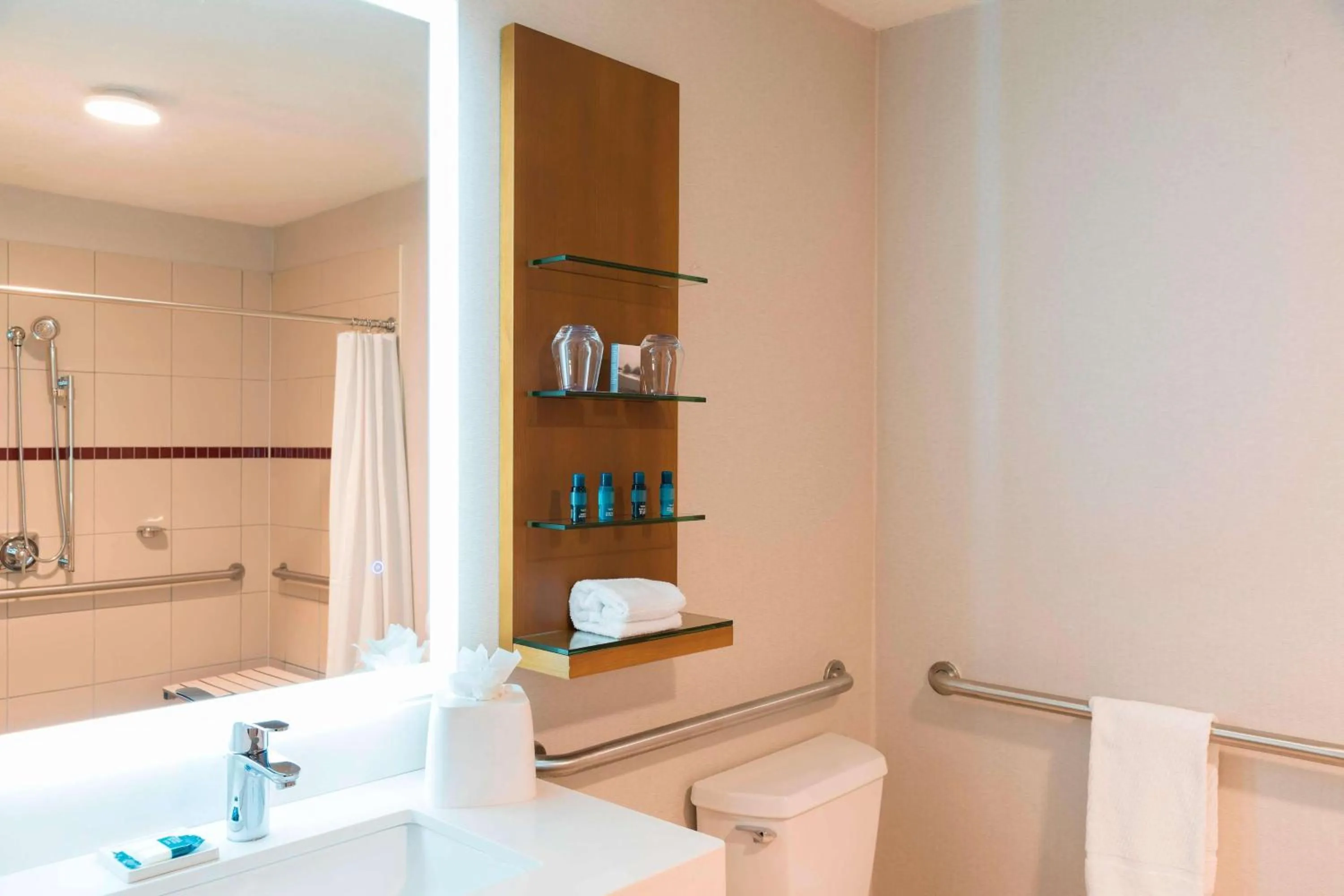 Bathroom in Delta Hotels by Marriott Grand Rapids Airport