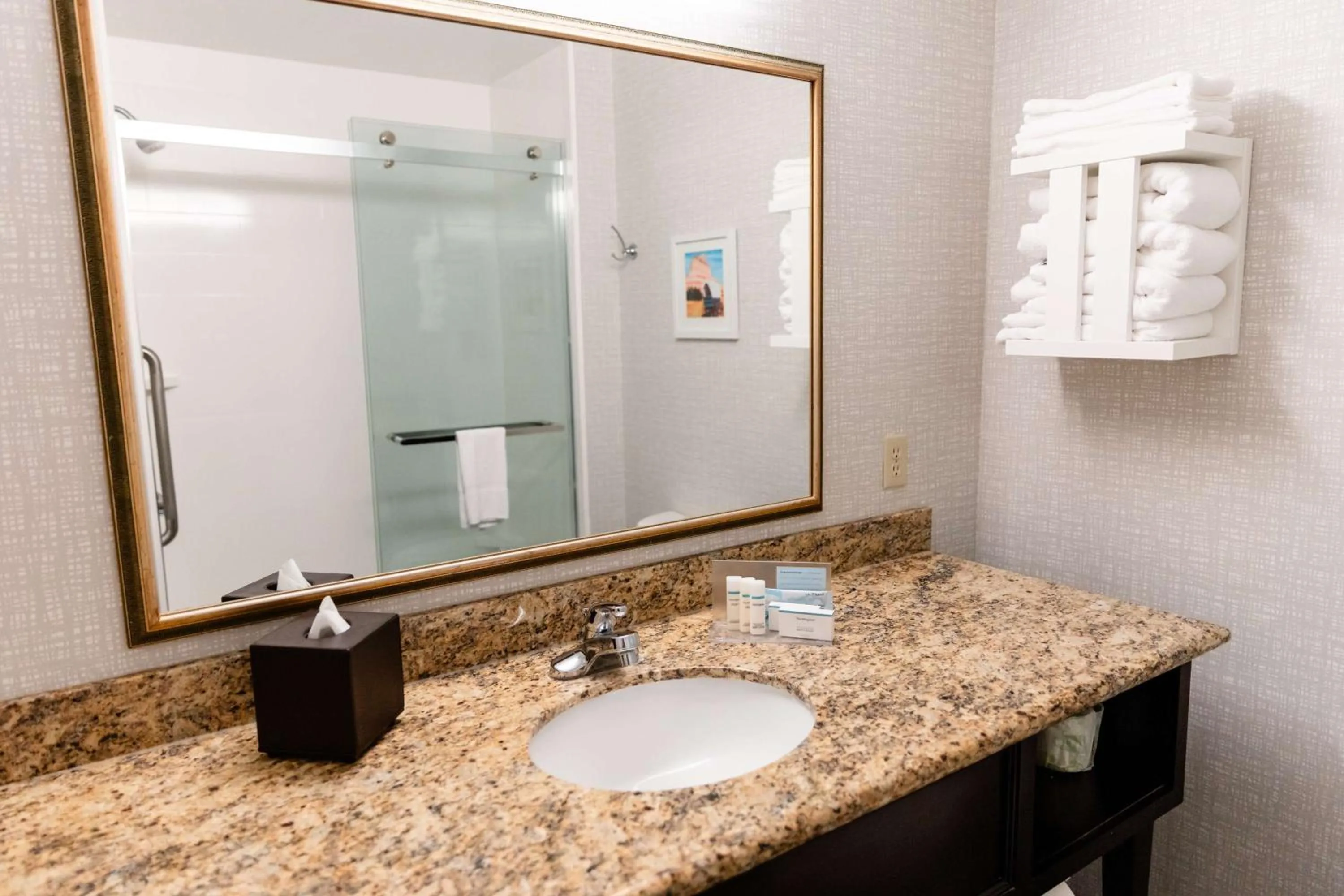 Bathroom in Hampton Inn & Suites Scottsbluff