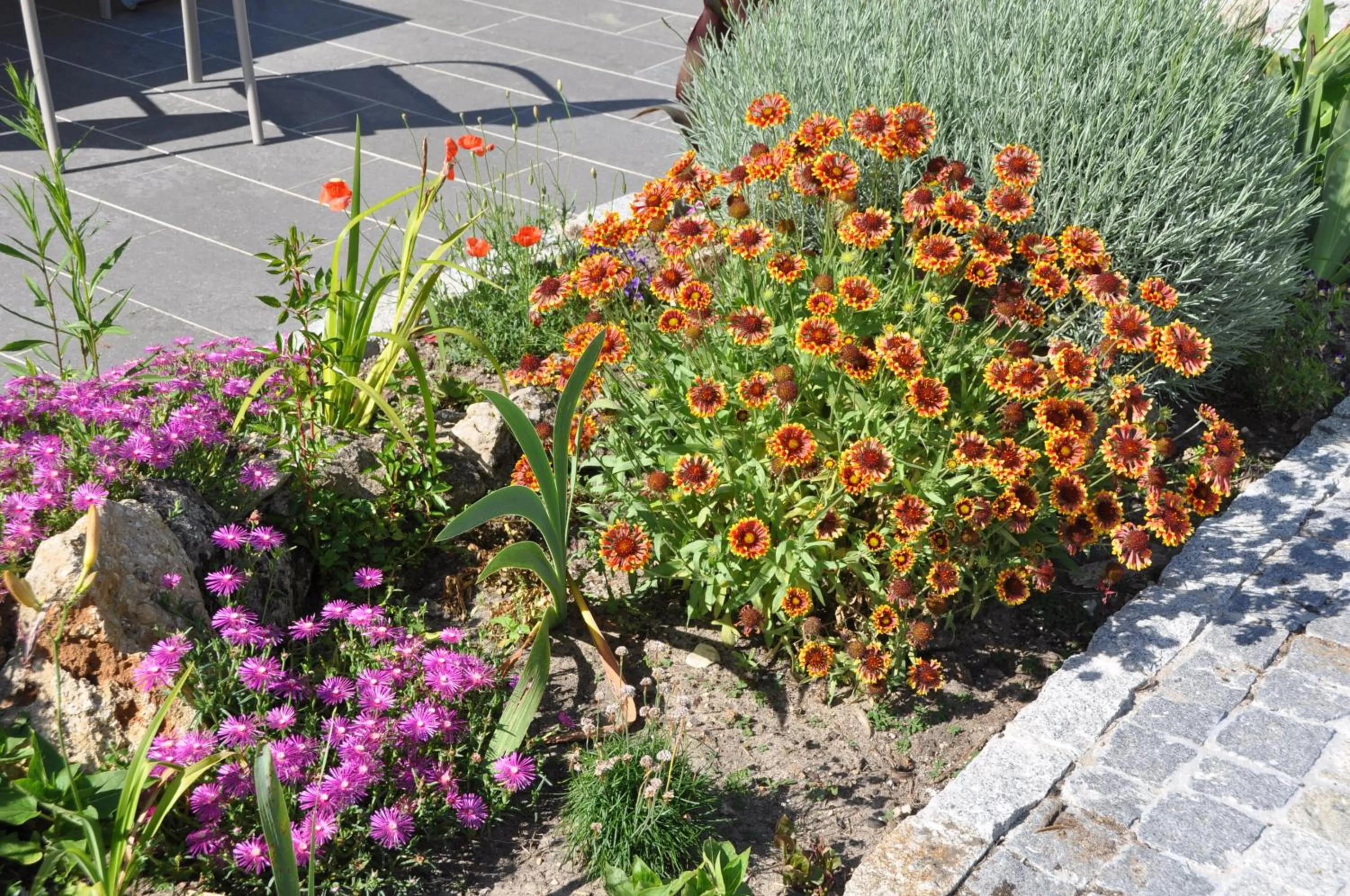 Garden view in Chambre d'hôtes Sauternais
