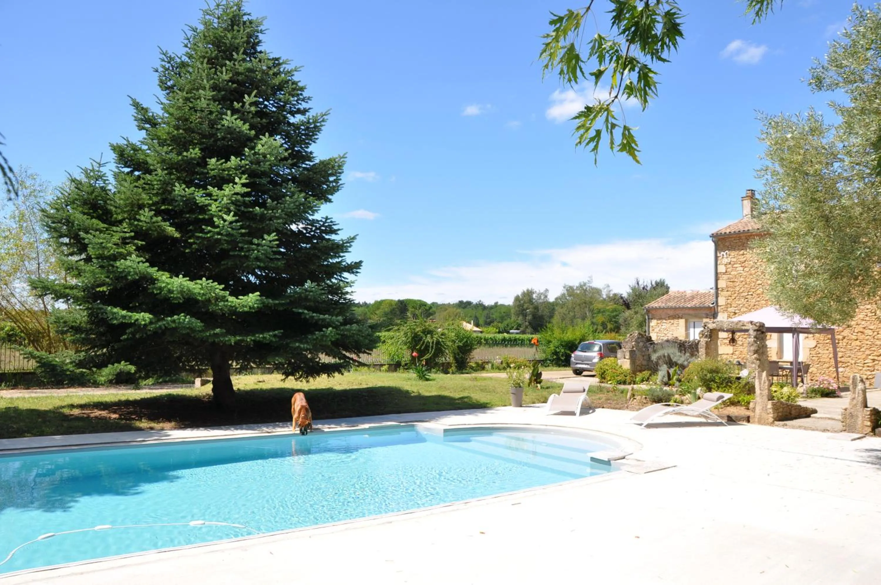 Swimming pool in Chambre d'hôtes Sauternais
