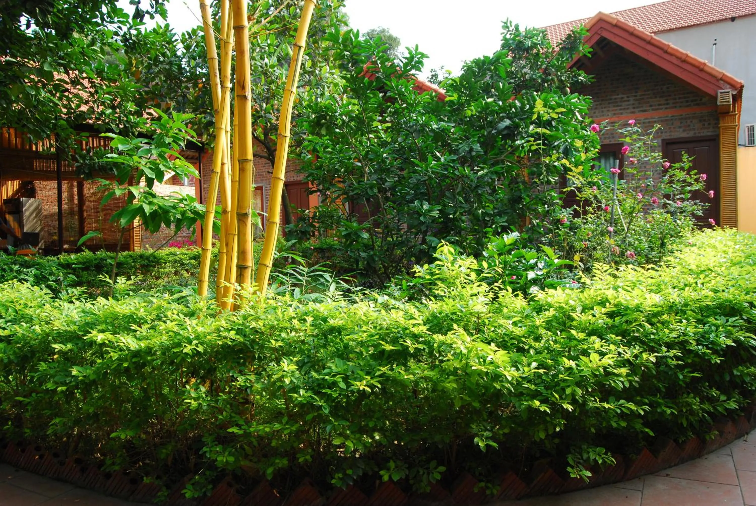 Garden view in Tam Coc Westlake Homestay