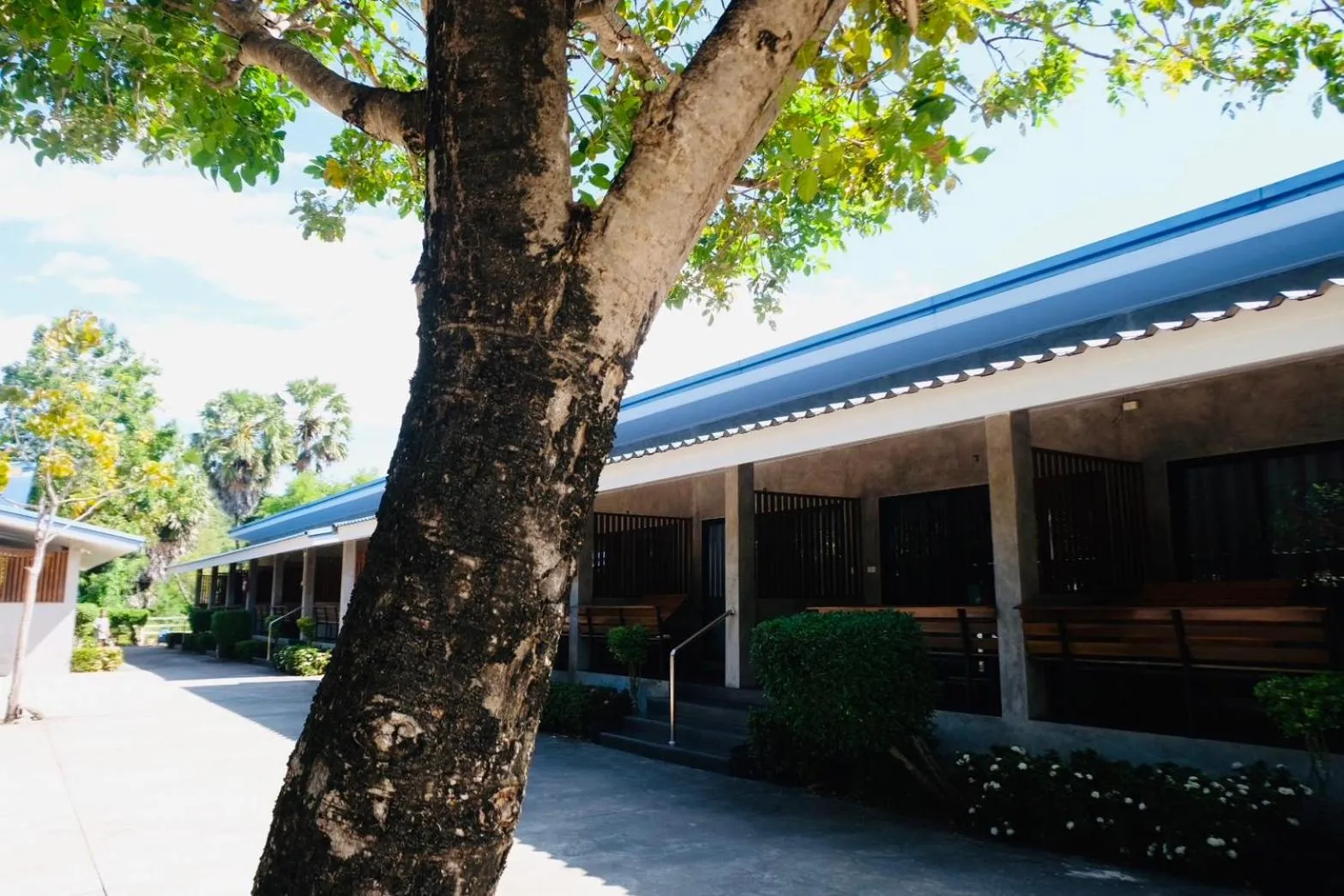 Nam Sai Loft Resort