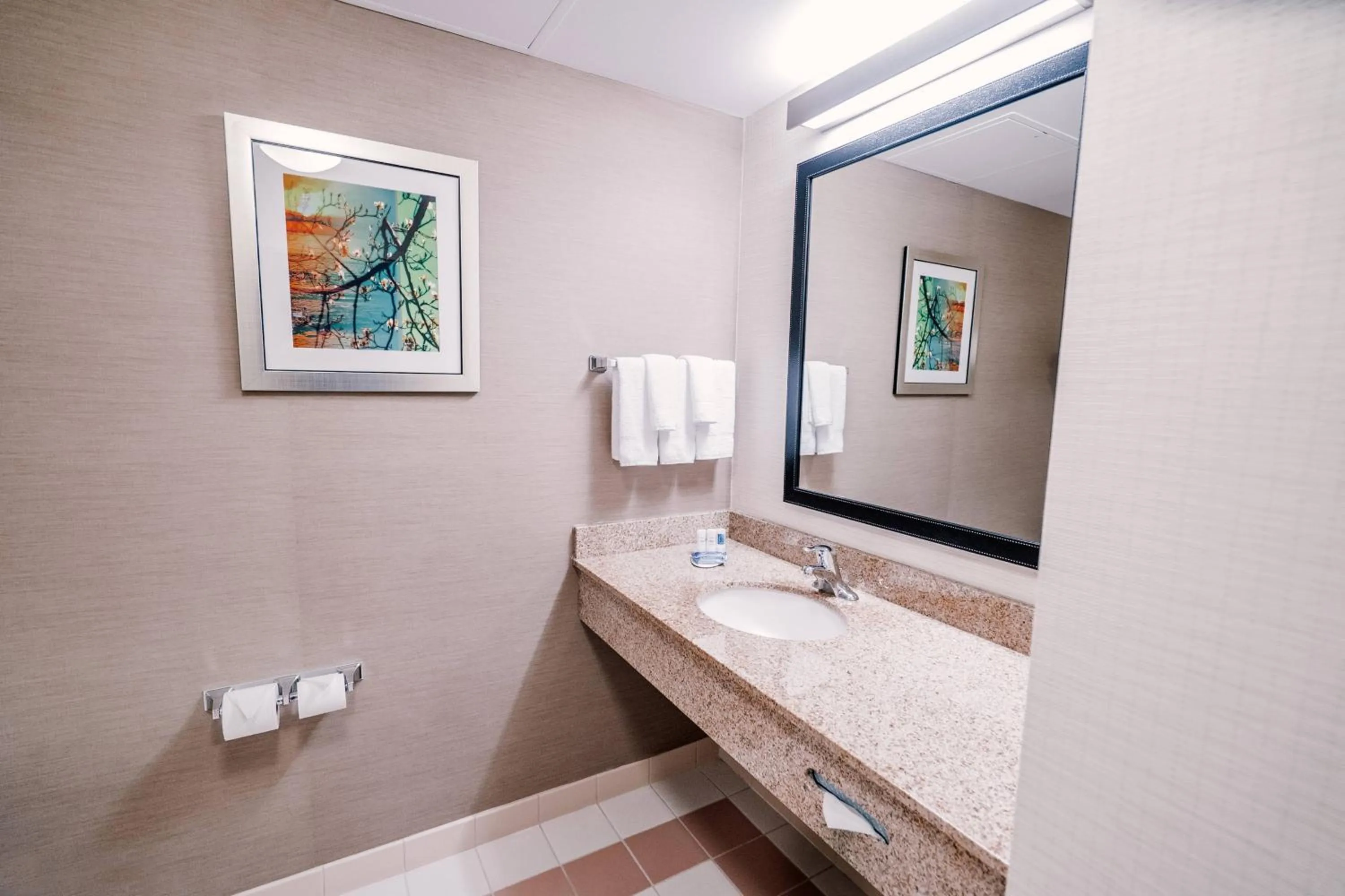 Bathroom in Fairfield by Marriott Medford Long Island