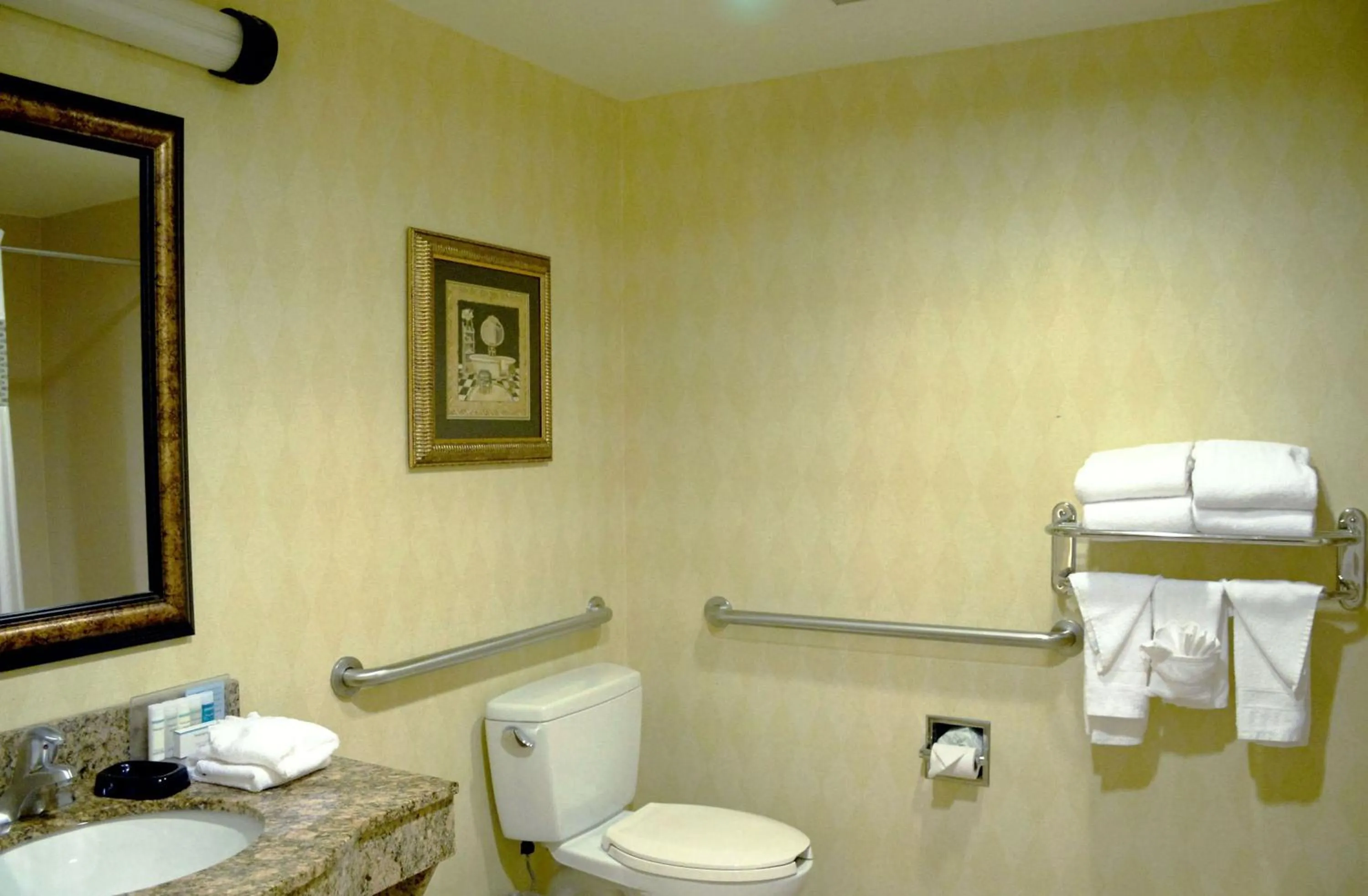 Hampton Inn & Suites Birmingham-Pelham - I-65