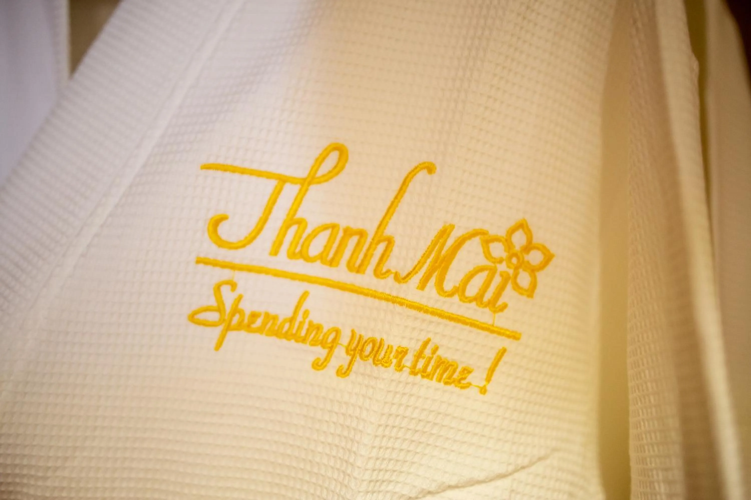 Decorative detail in Thanh Mai Hotel