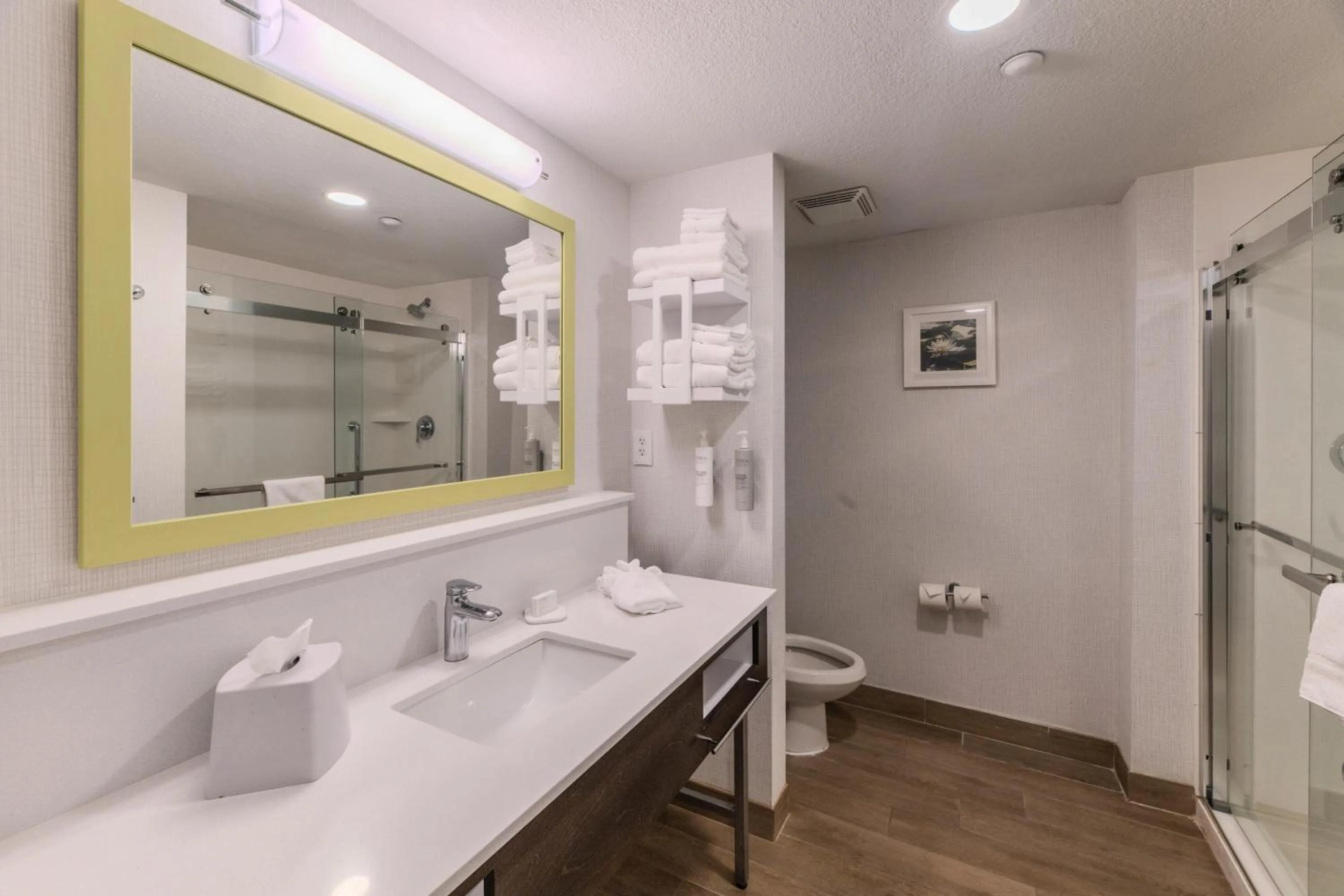 Bathroom in Hampton Inn Jasper, AL