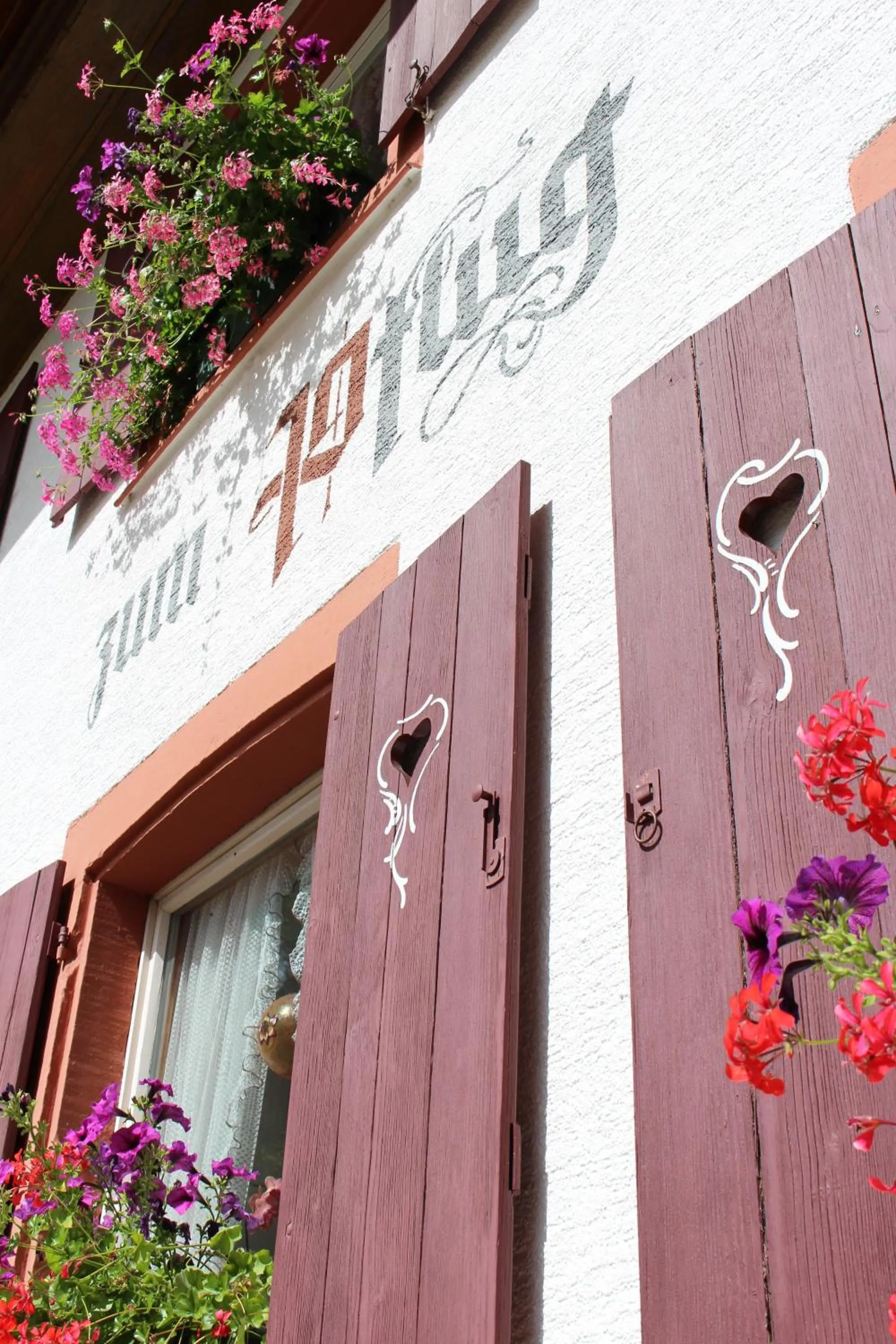 Facade/entrance in Hotel Landgasthof zum Pflug