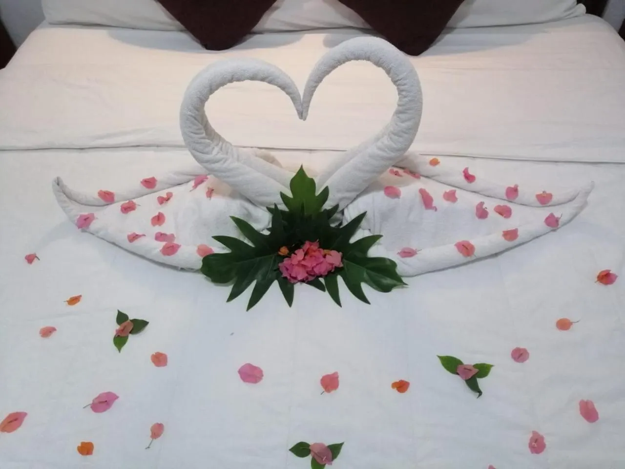 Bed in Hotel Reforma