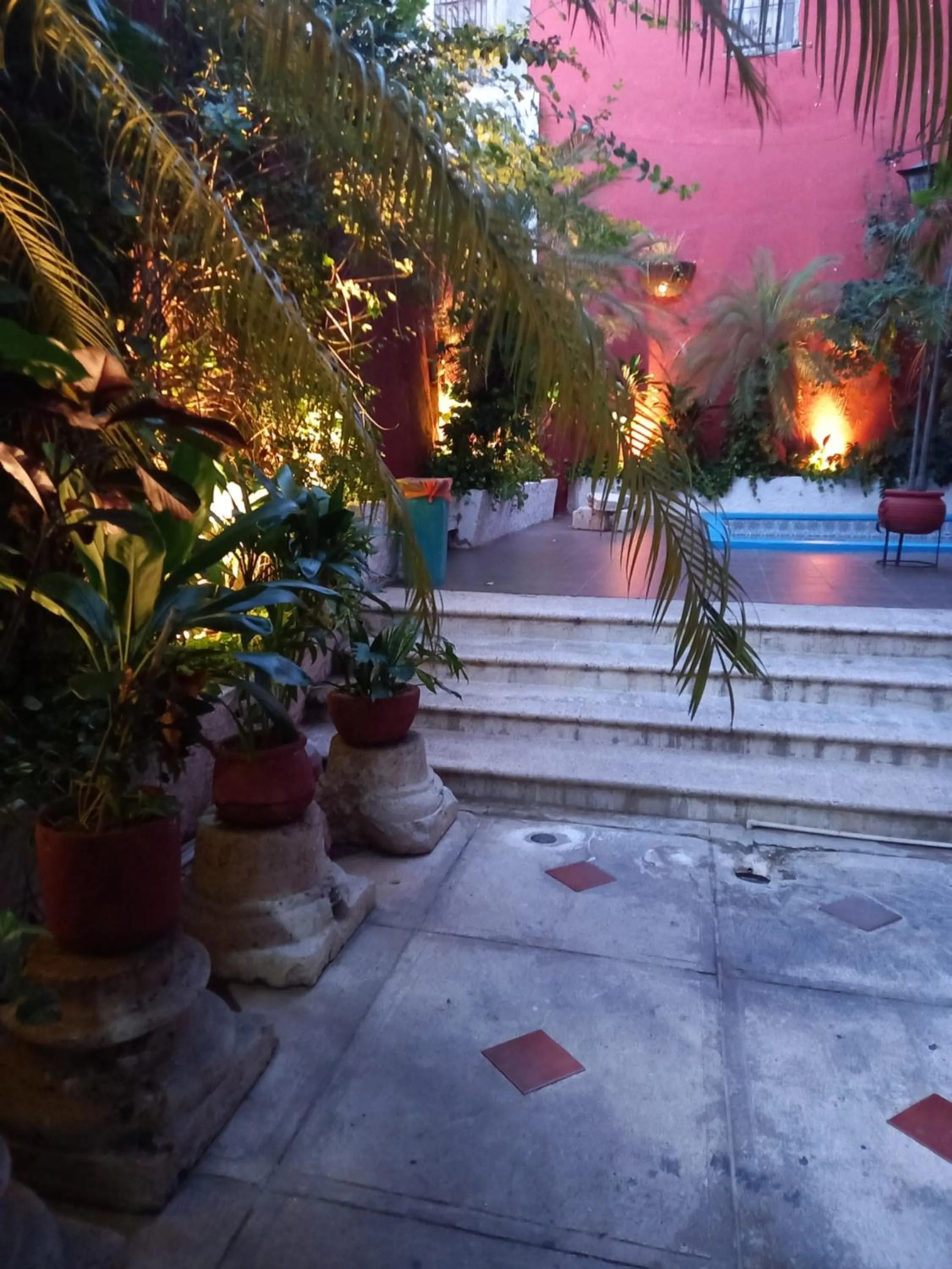 Garden in Hotel Reforma