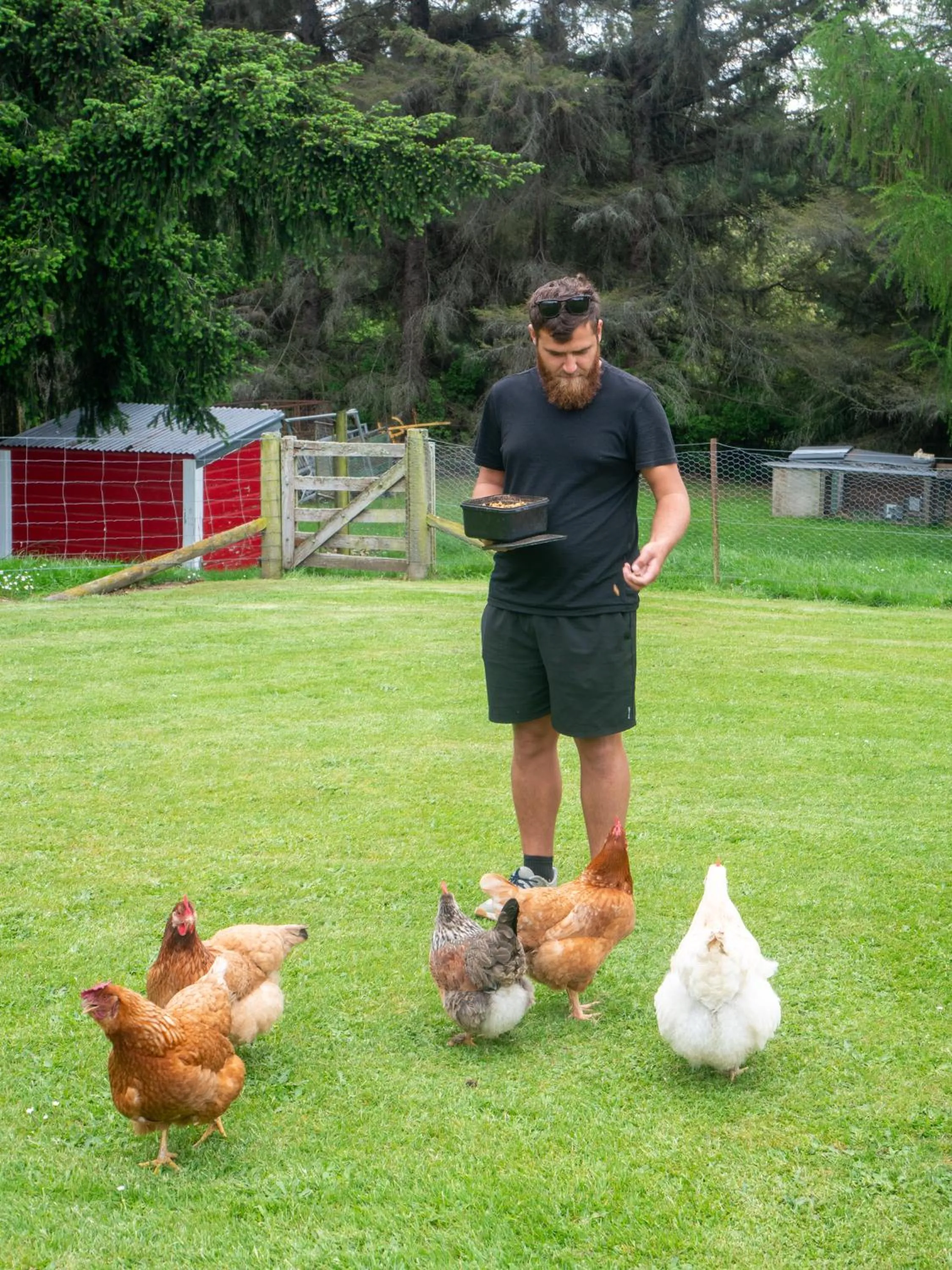 Pets in Little Red School House