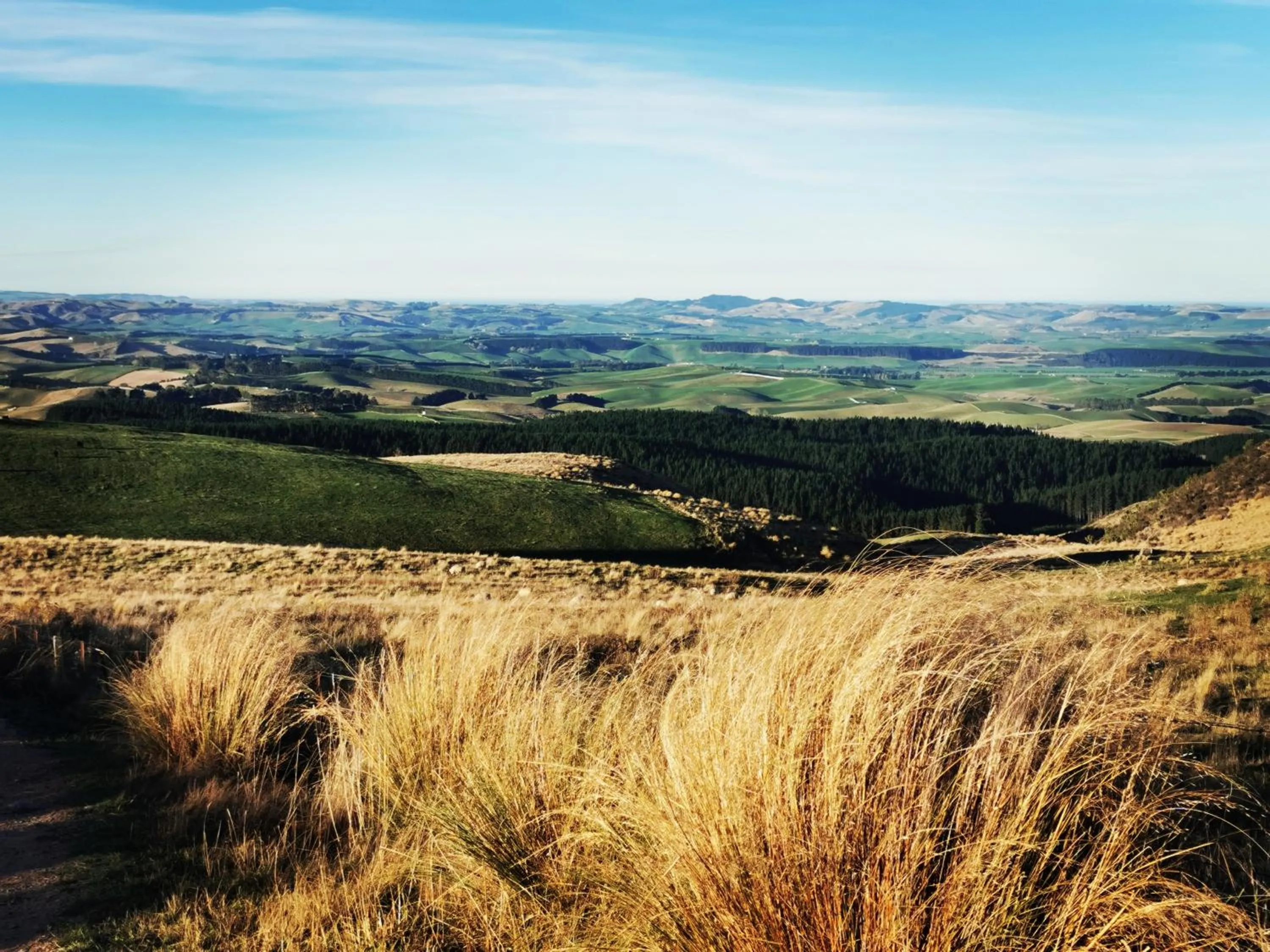 Natural landscape in Little Red School House