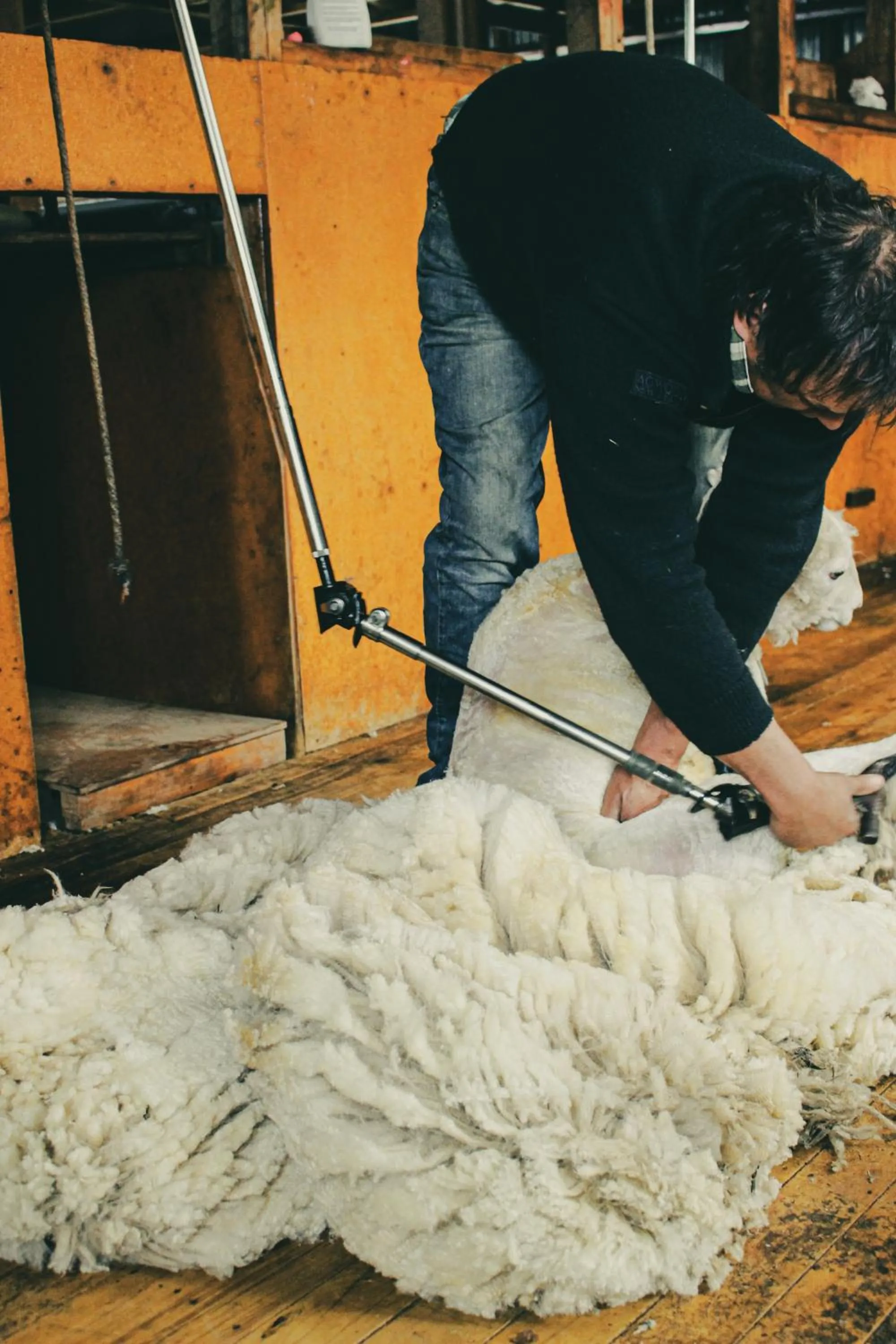 Activities in Little Red School House