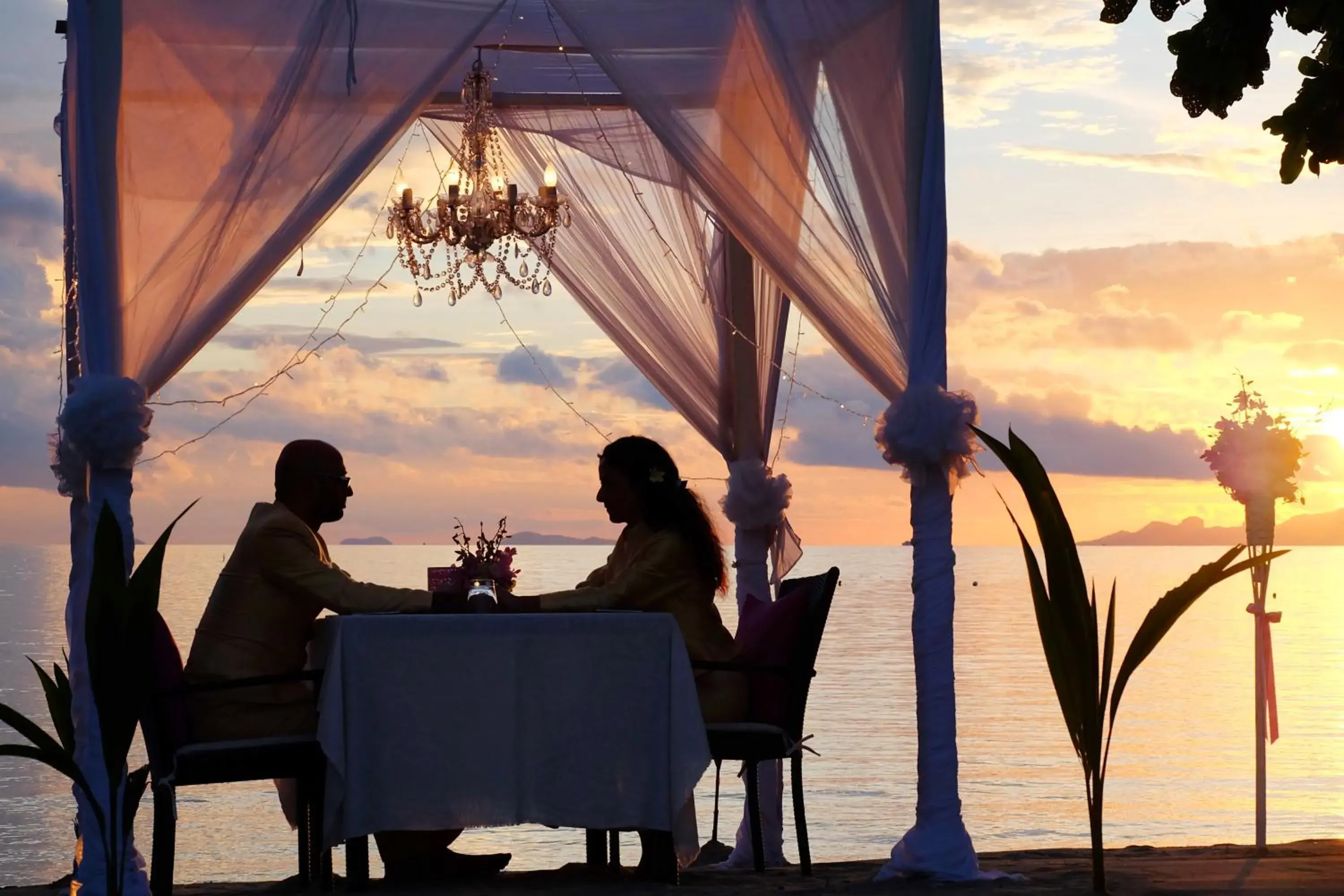 Food and drinks in Viva Vacation Resort Food and drinks in Viva Vacation Resort