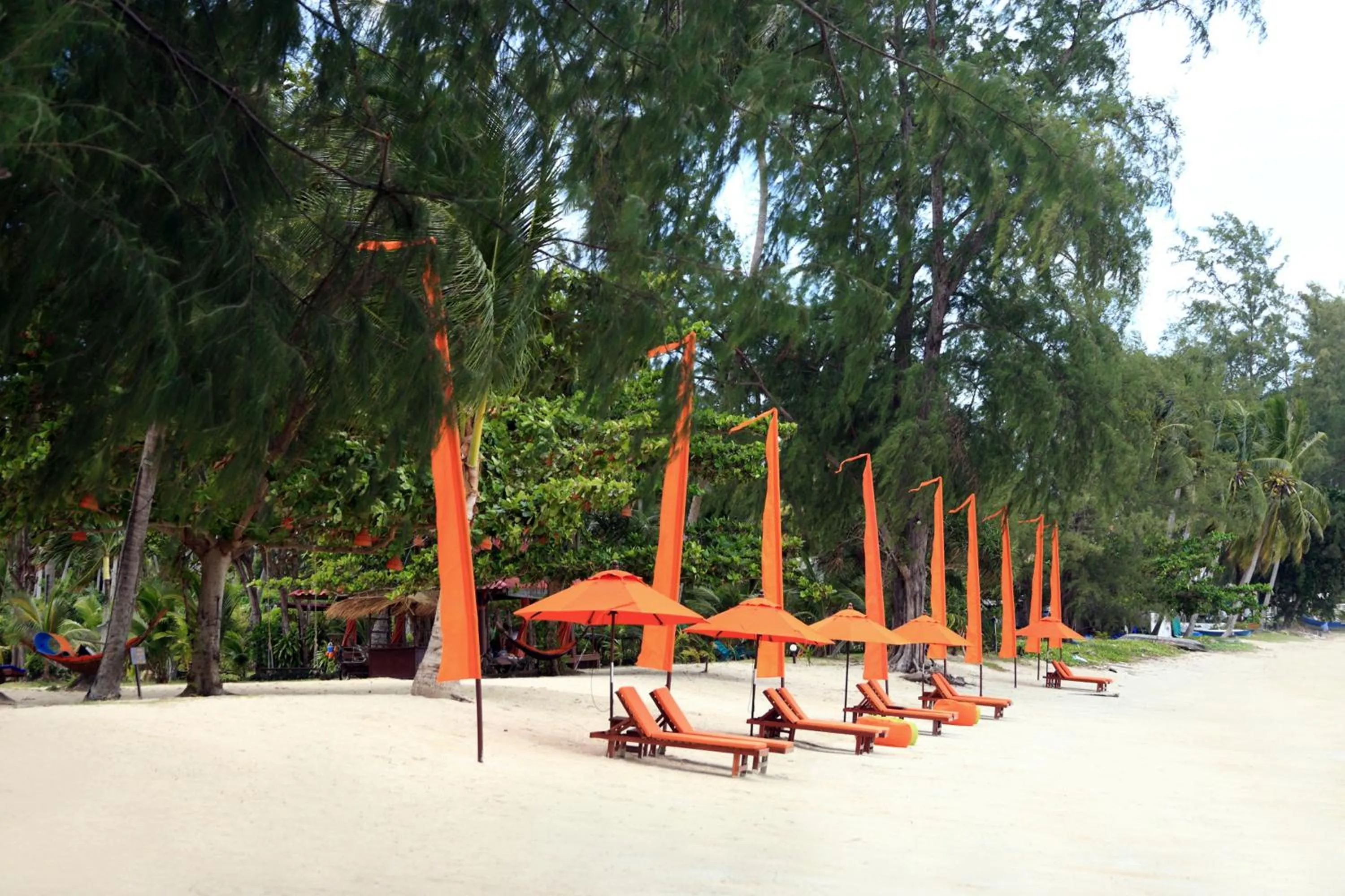 Beach in Viva Vacation Resort