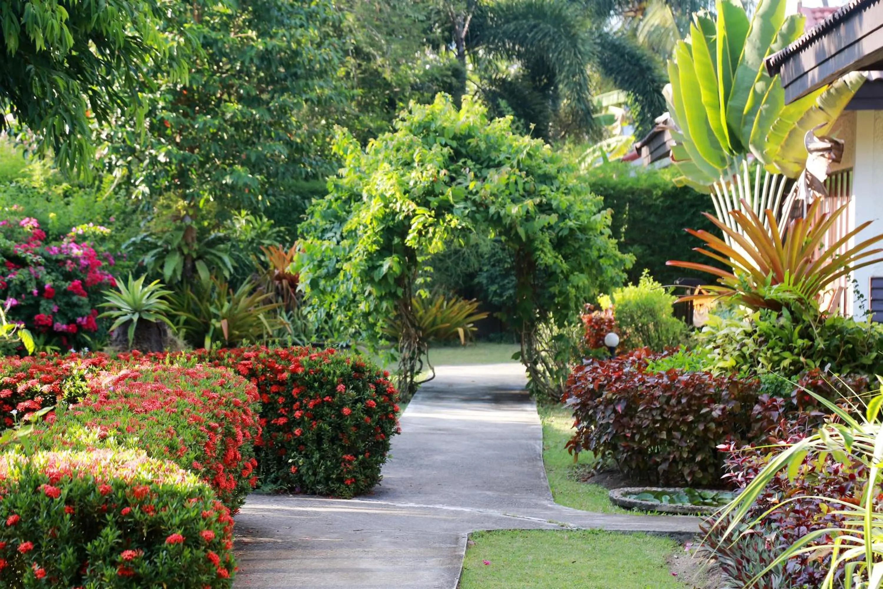 Natural landscape in Viva Vacation Resort