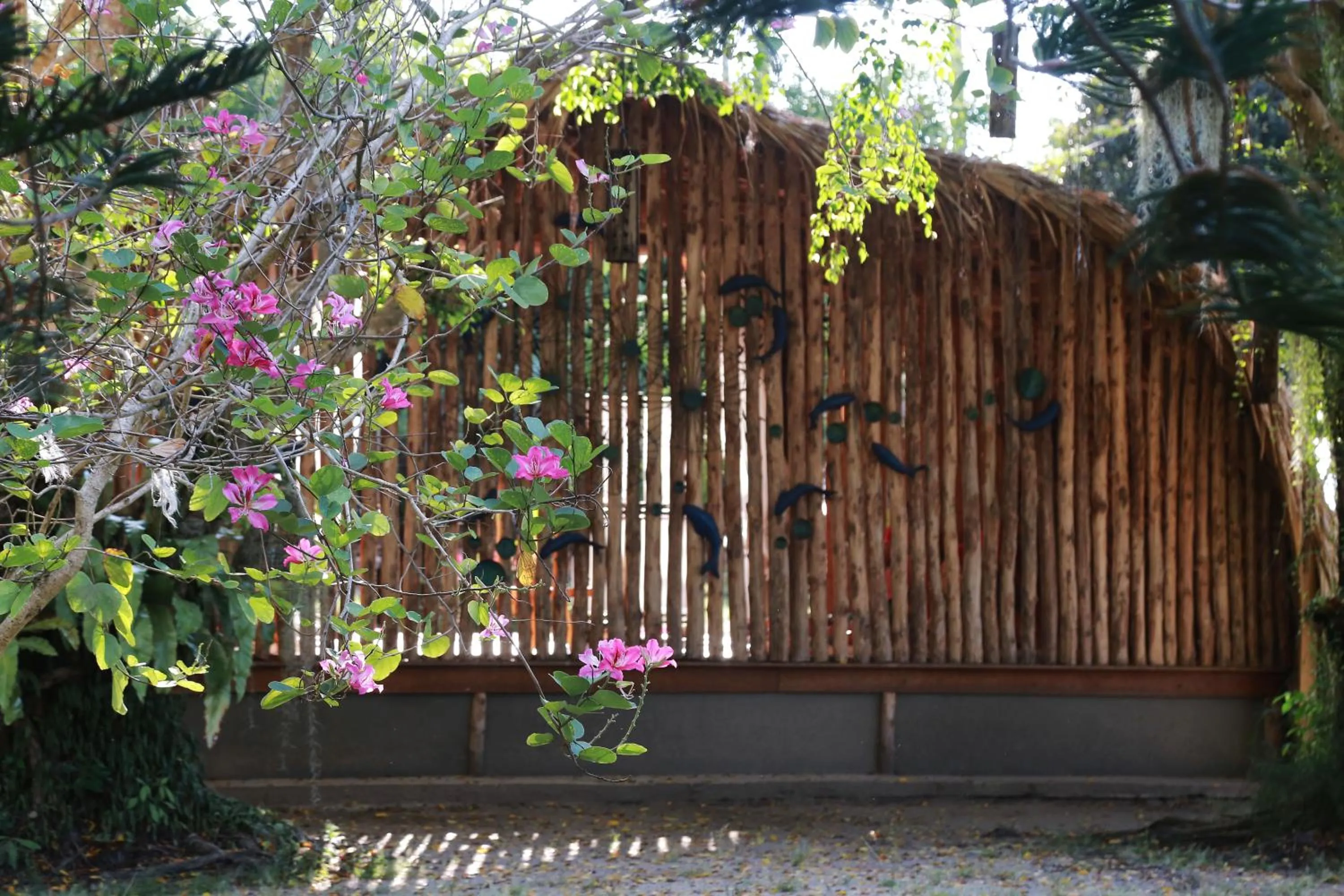 Spa and wellness centre/facilities in Viva Vacation Resort