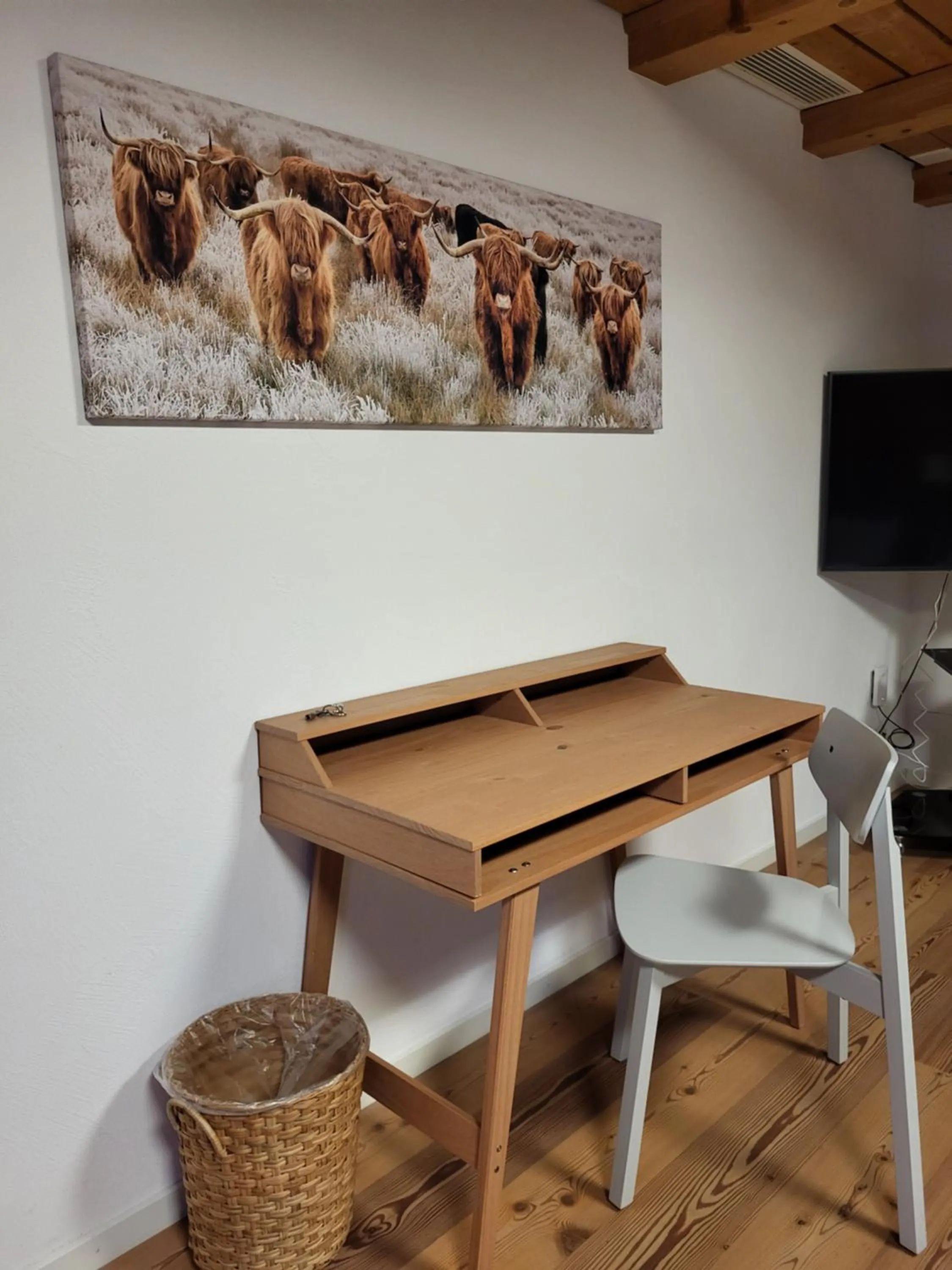 TV and multimedia in Gasthof Krone Blatten