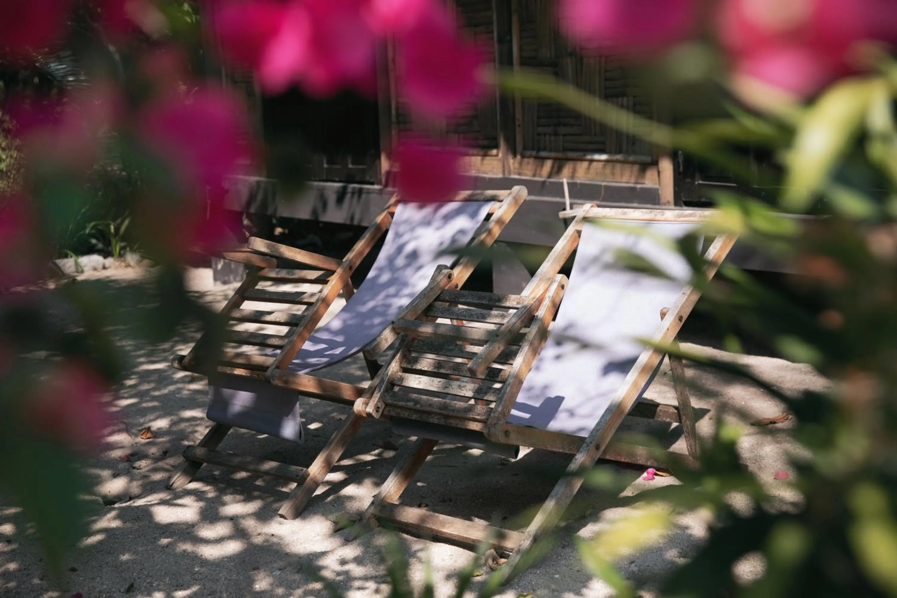 Garden in Whale Island Resort
