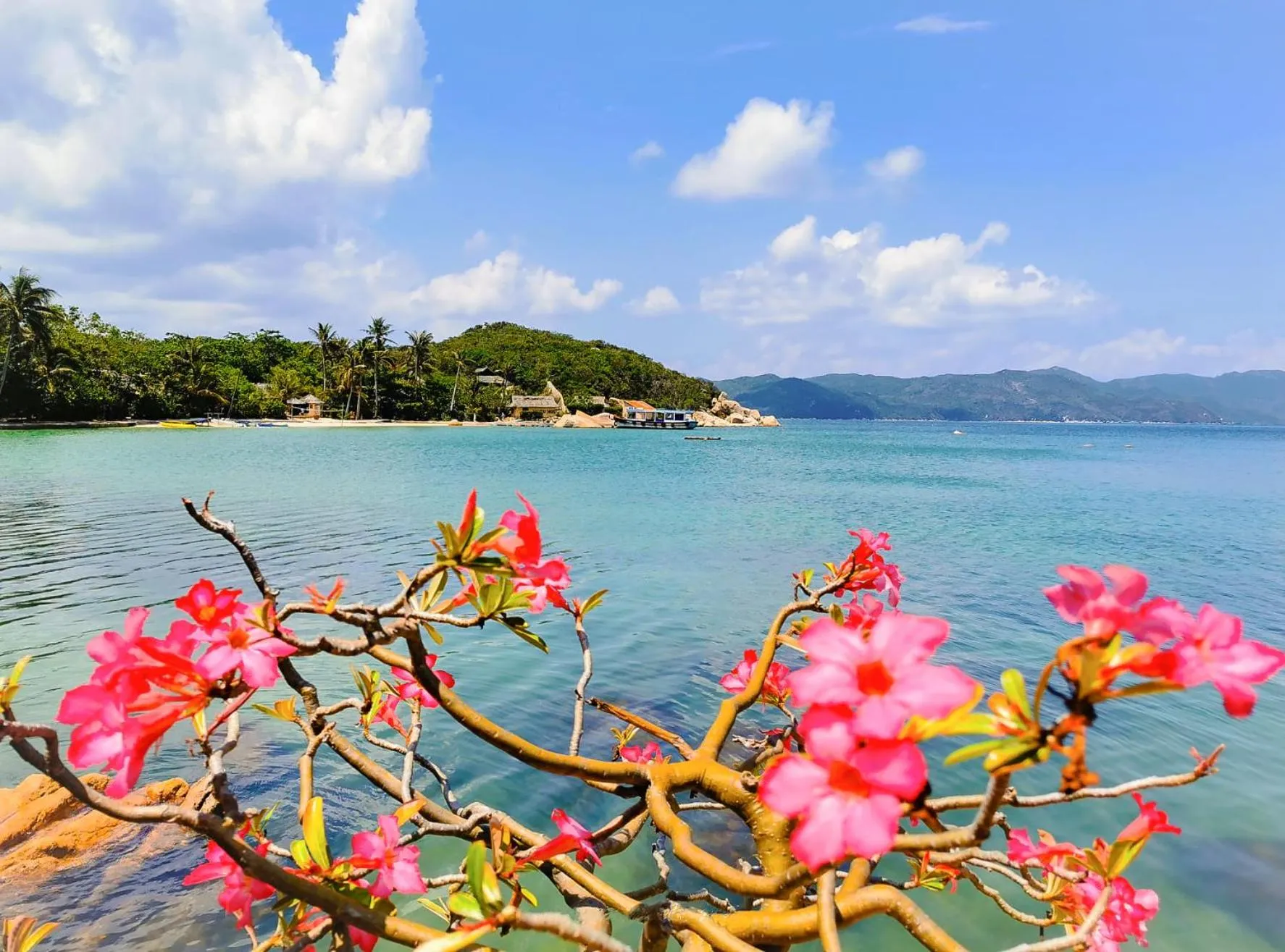 Day in Whale Island Resort