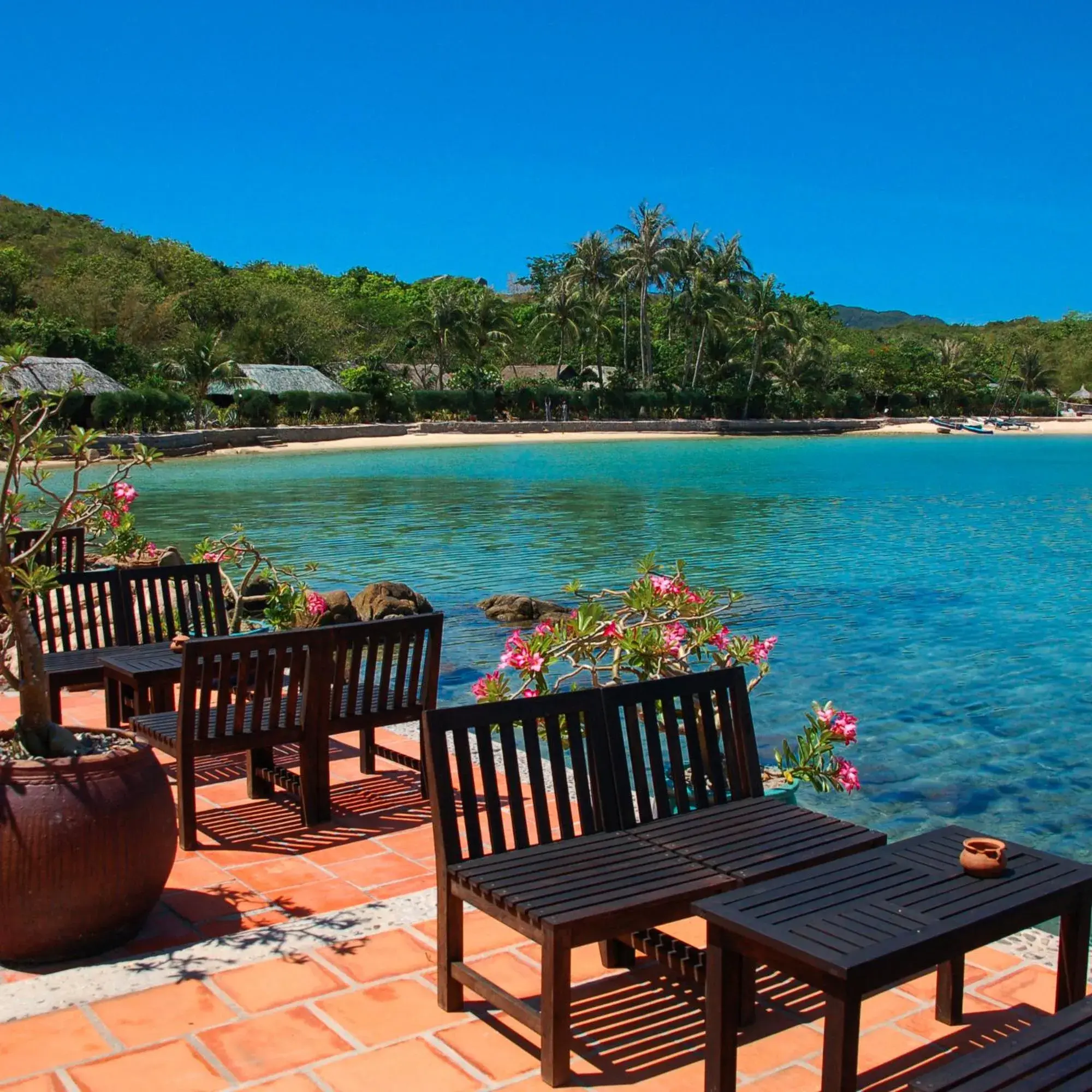 Restaurant/places to eat in Whale Island Resort Restaurant/places to eat in Whale Island Resort