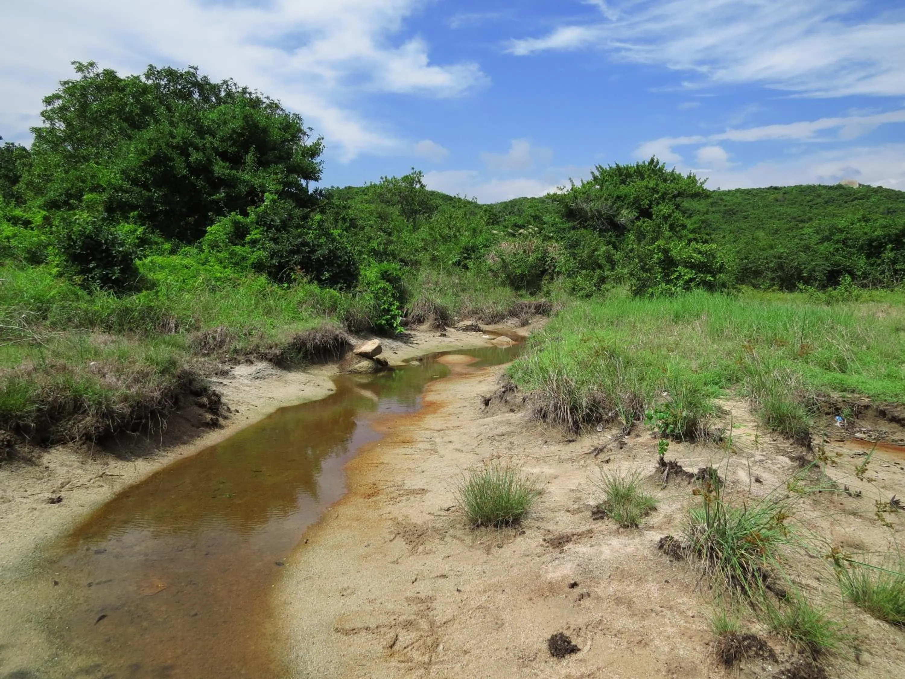 Natural landscape in Whale Island Resort