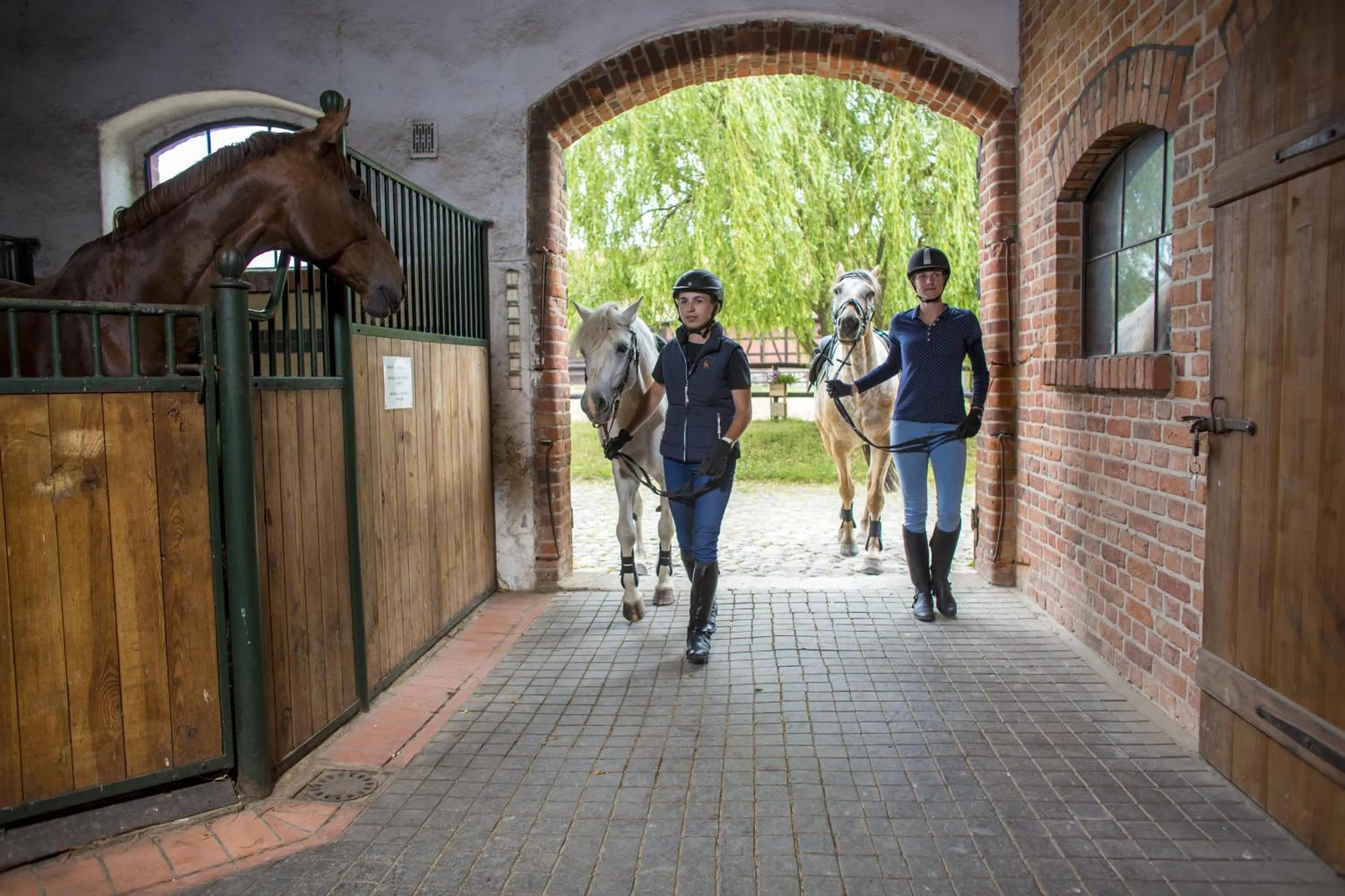 Horse-riding in Pałac Galiny