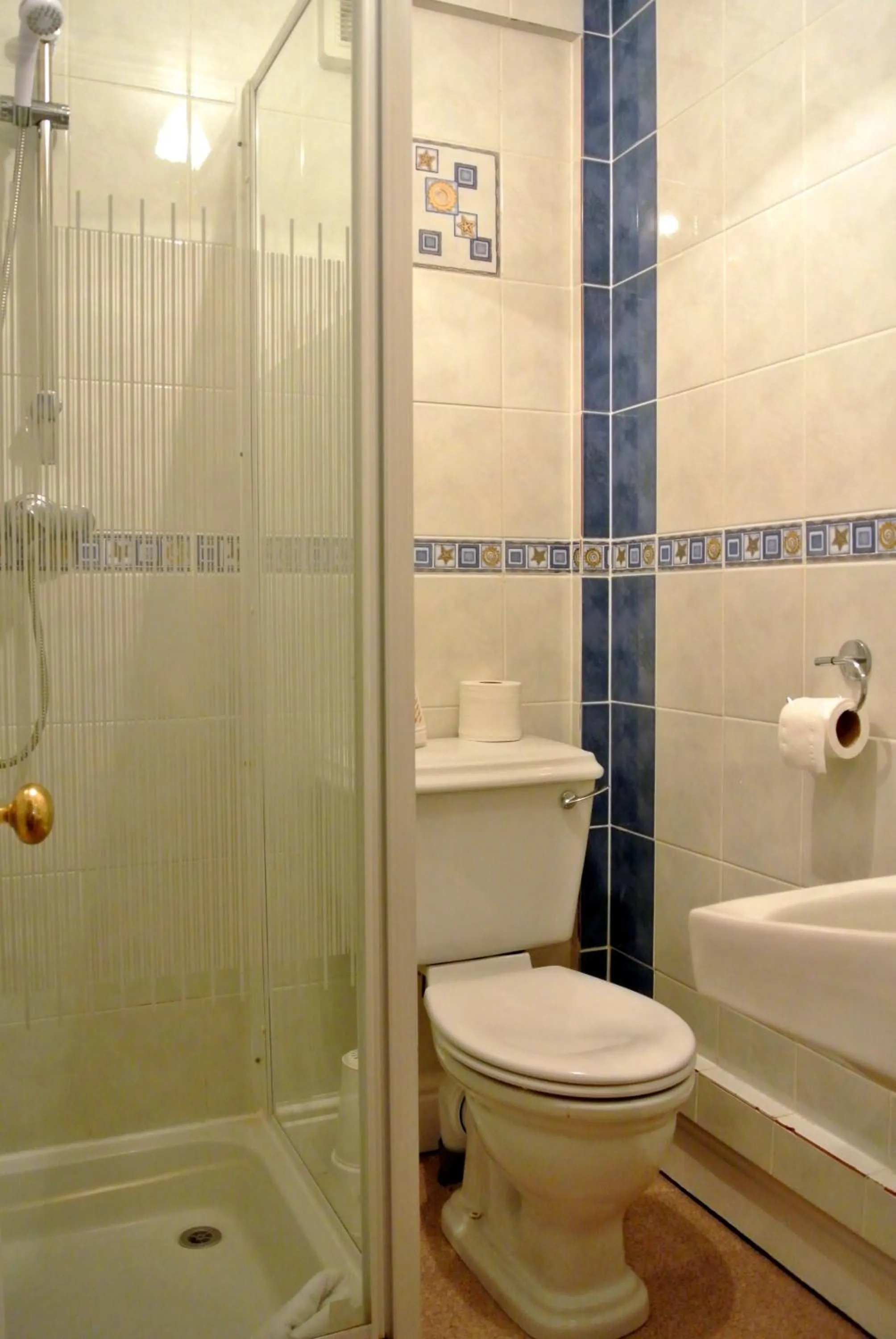 Shower in Fairlawns Guest House