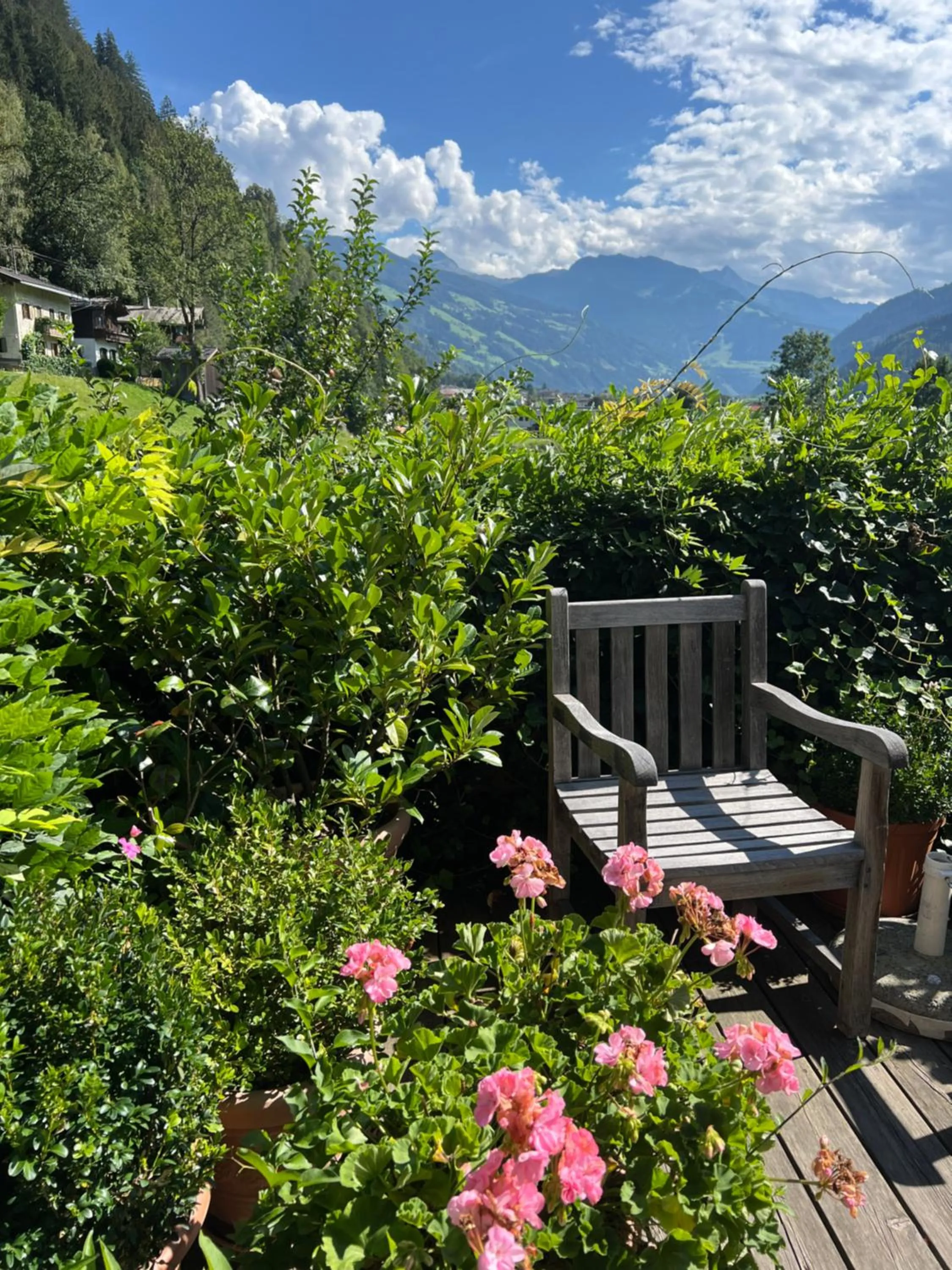 Natural landscape in Landgasthof Hotel Linde