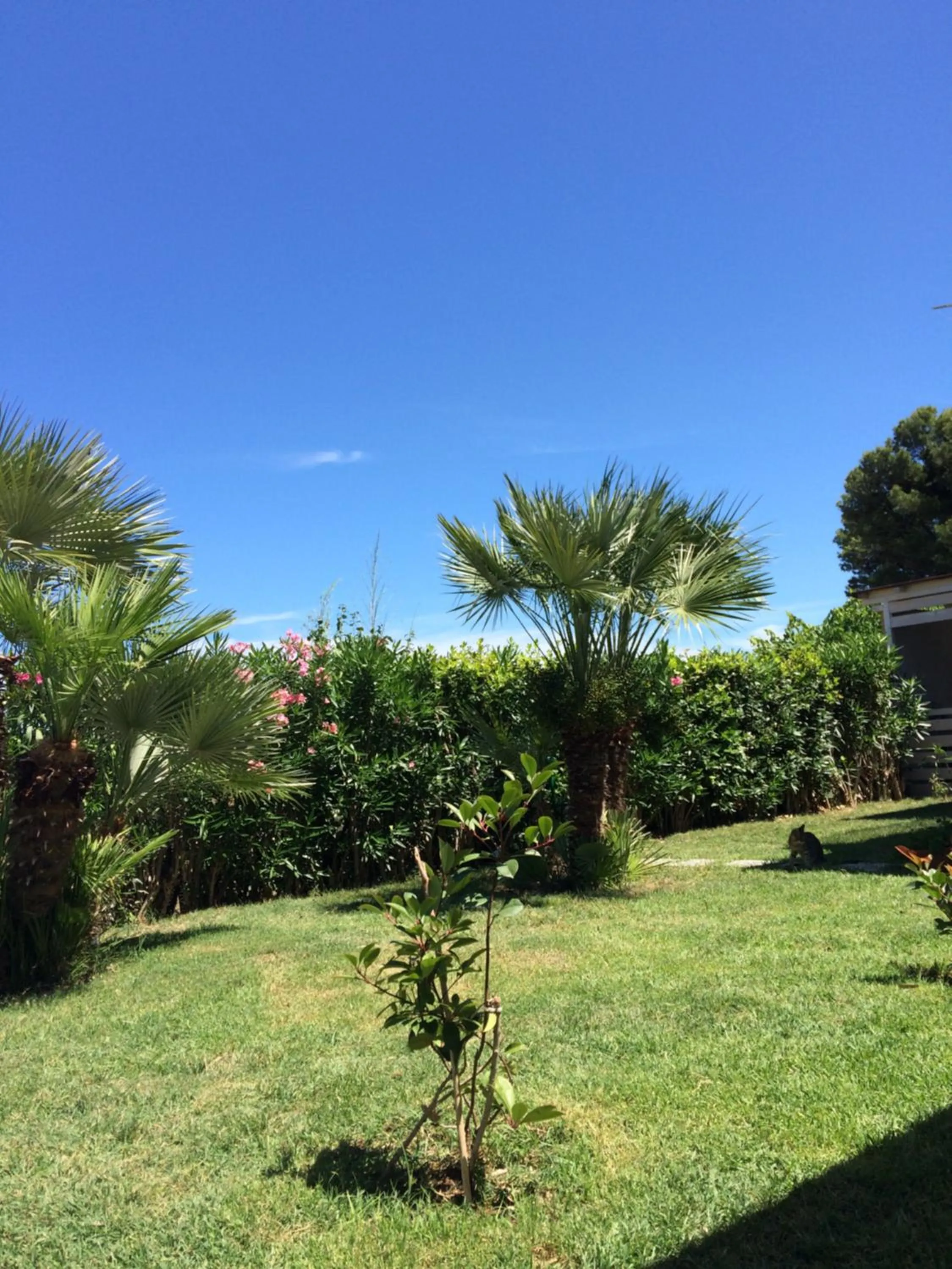 Garden in Casa "La Conchiglia"