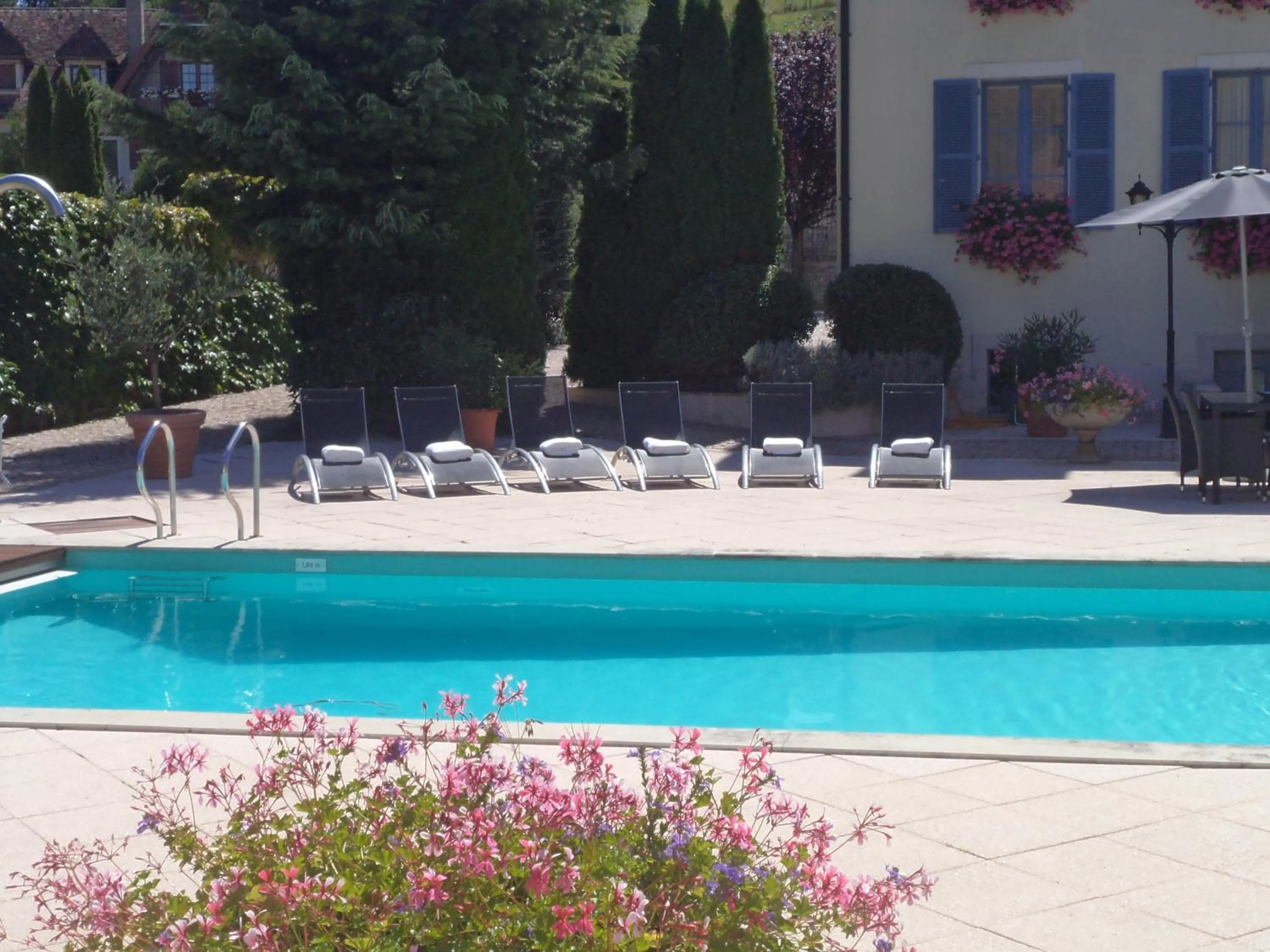 Swimming pool in Hotel Pinocchio