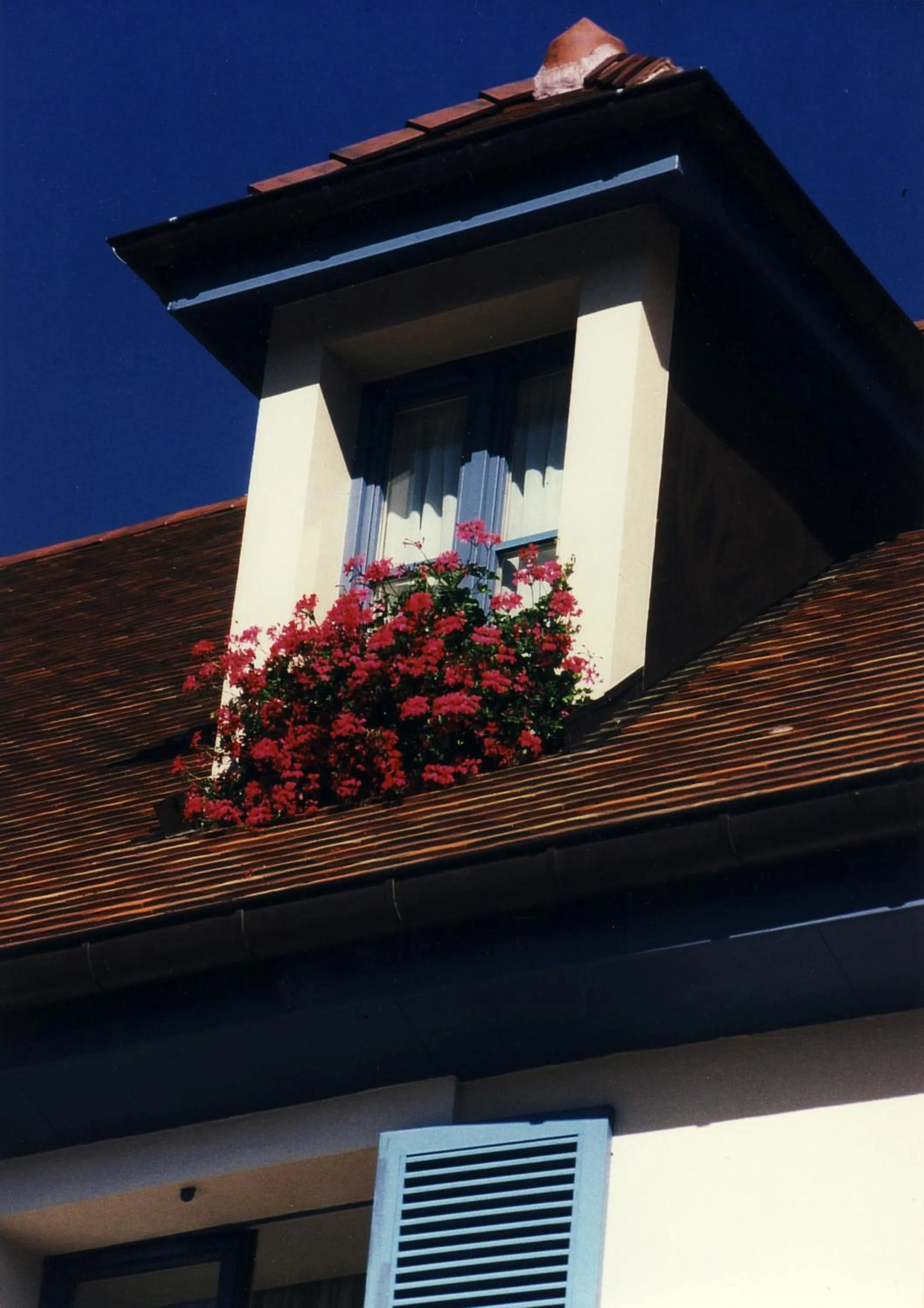 Facade/entrance in Hotel Pinocchio