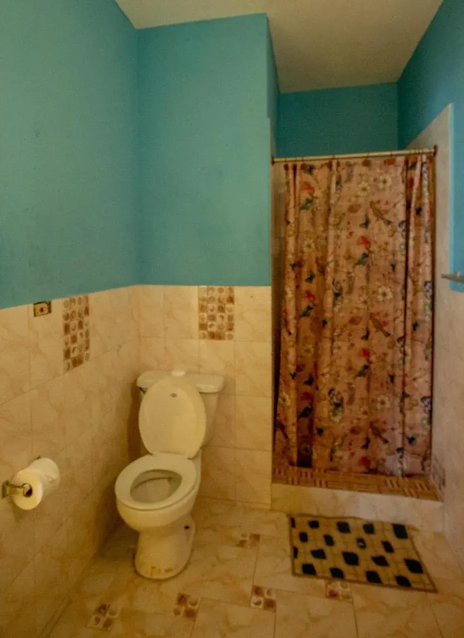 Standard Double Room in Waterloo Guest House Standard Double Room in Waterloo Guest House