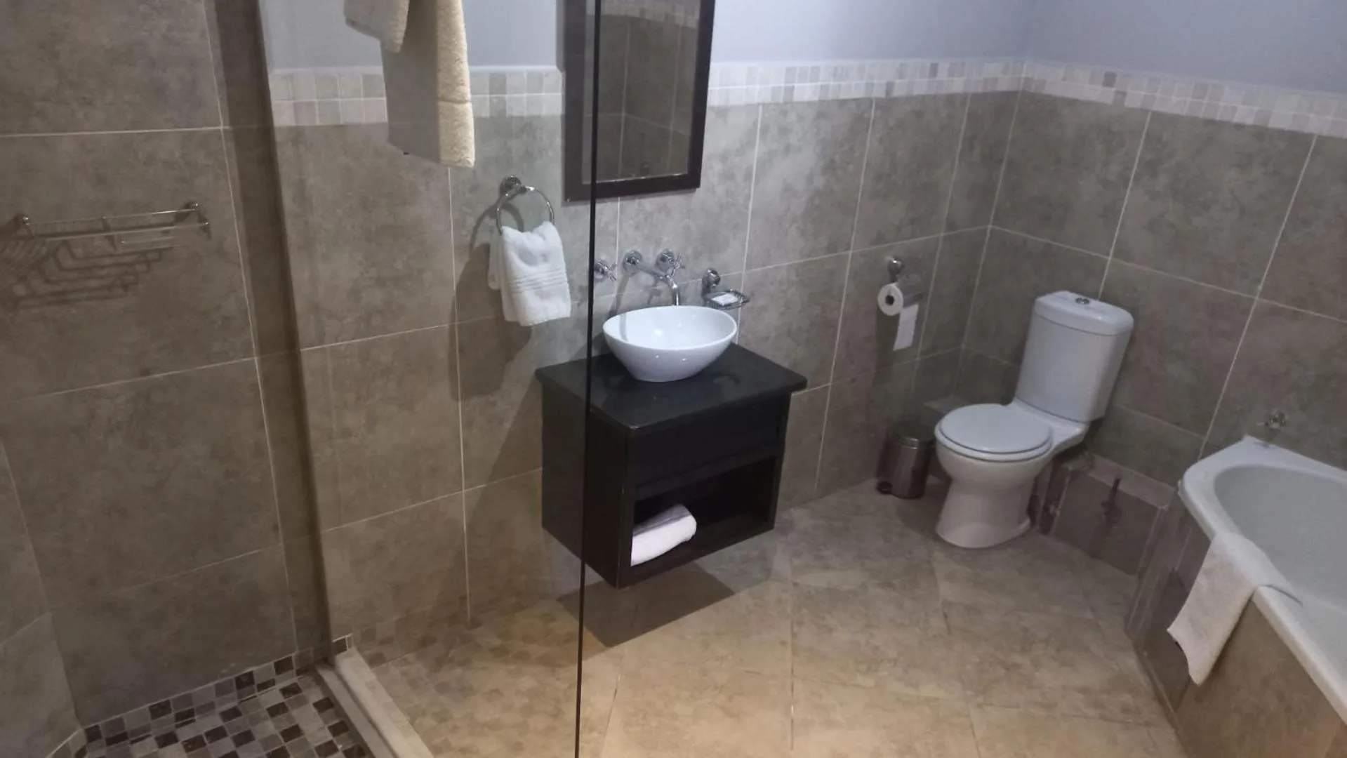 Toilet in ANEW Hotel Highveld Emalahleni