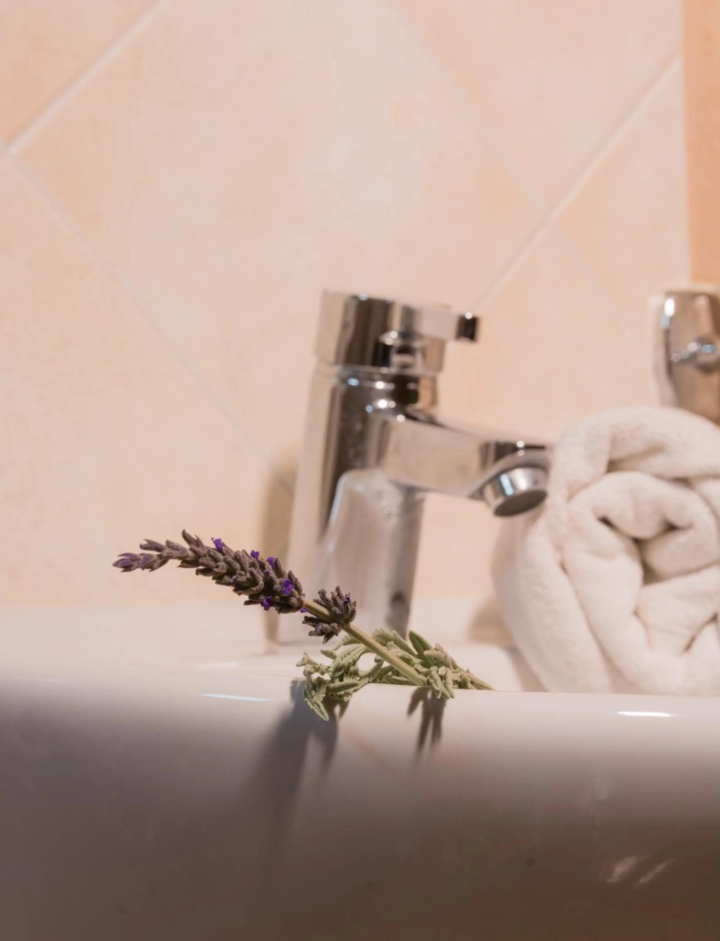 Bathroom in Hotel Sunrise
