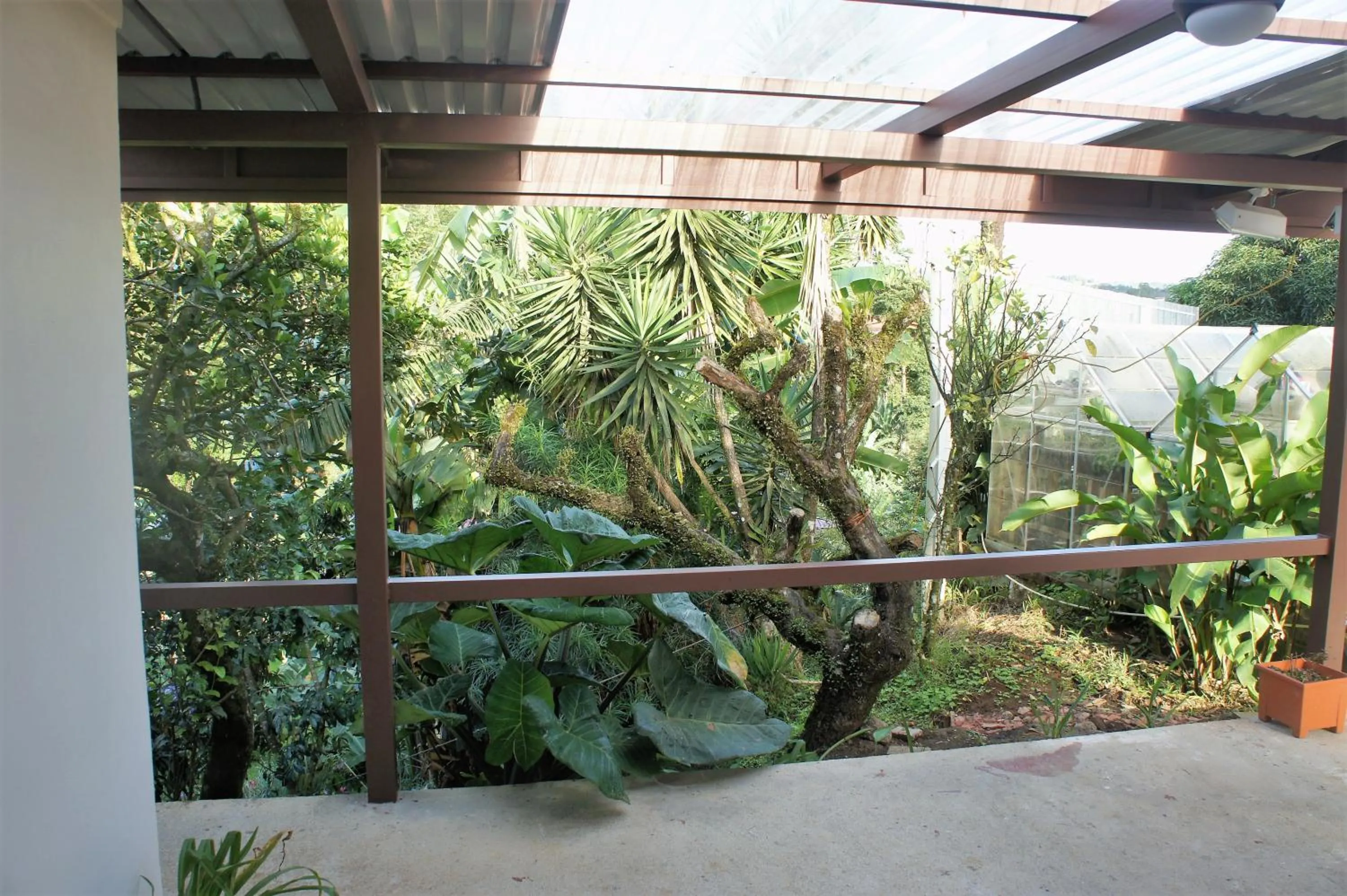 Garden view in Casa Donna Rosa B&B