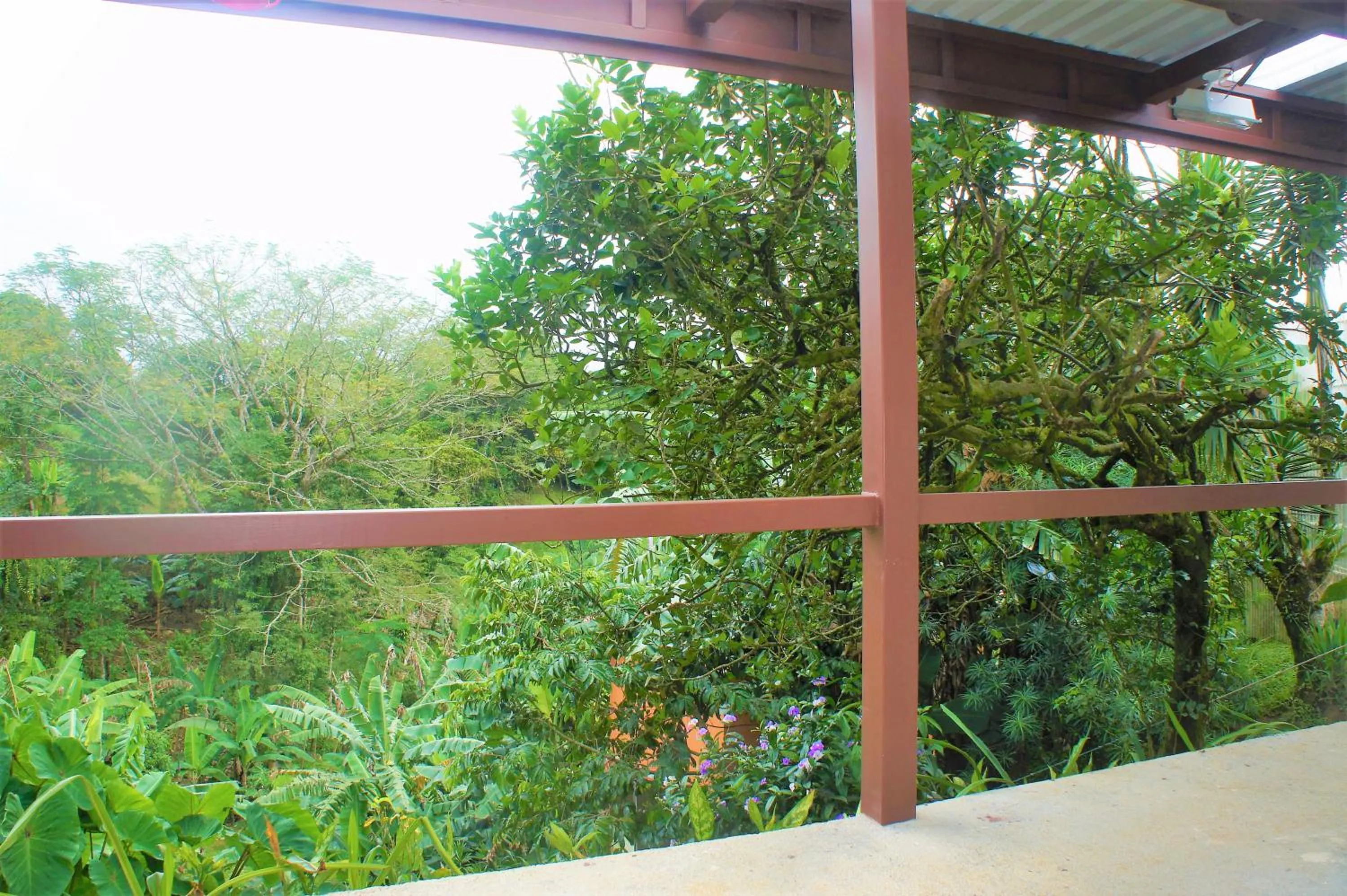 Garden in Casa Donna Rosa B&B