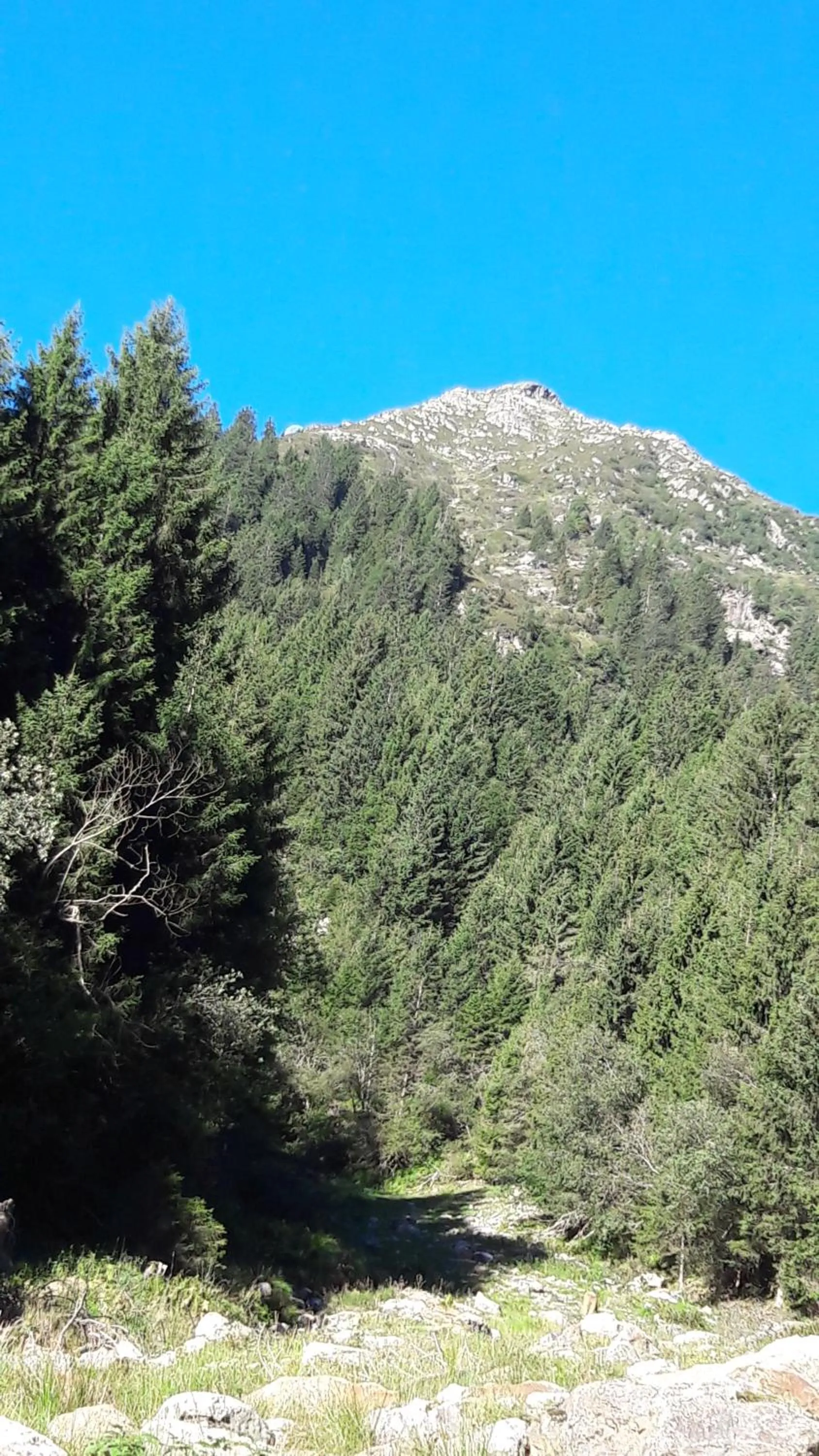 Hiking in Residence Lenzenau