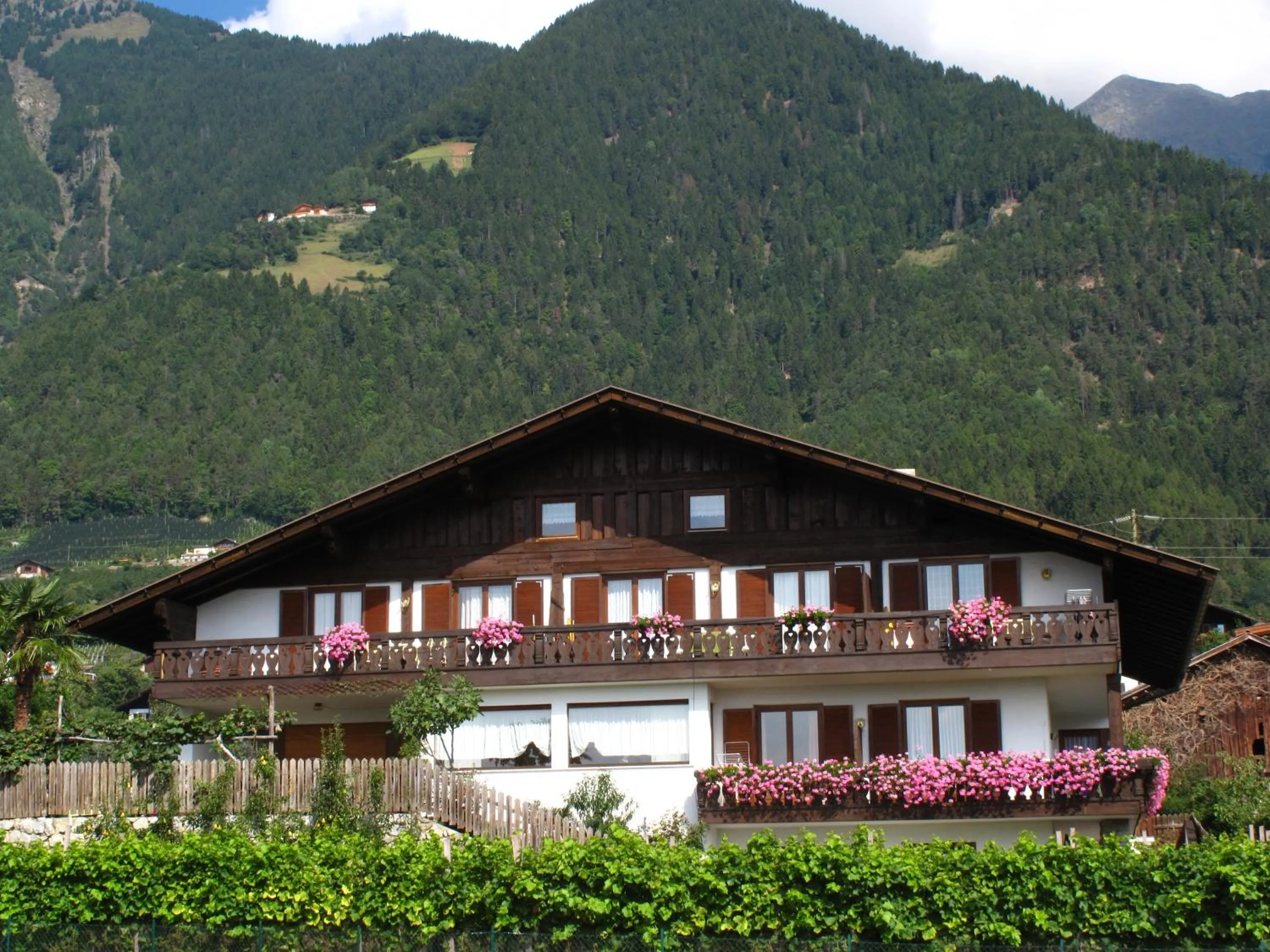 Property building in Residence Lenzenau