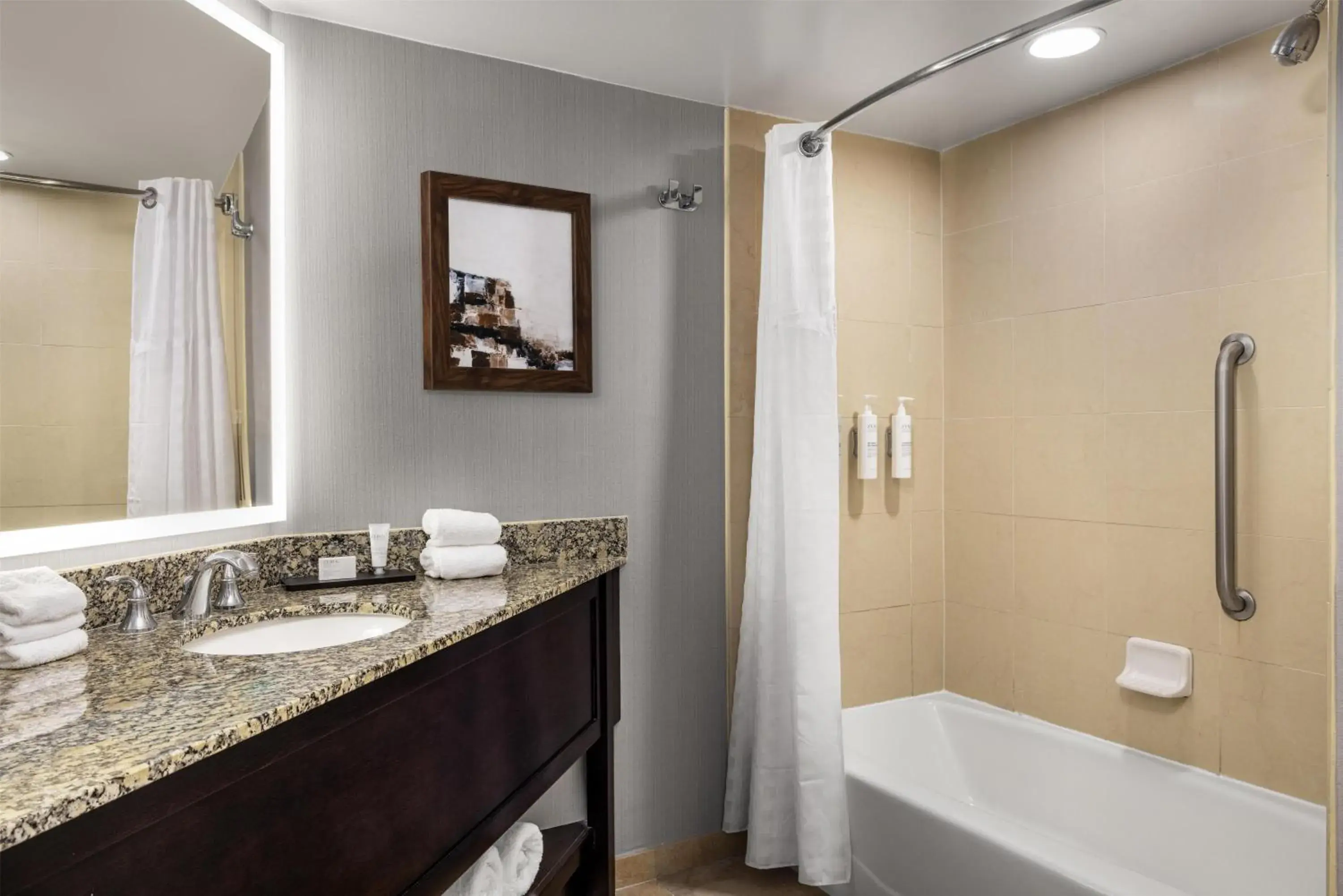 Premium King Suite - Mobility and Hearing Access/Non-Smoking in Embassy Suites Birmingham Premium King Suite - Mobility and Hearing Access/Non-Smoking in Embassy Suites Birmingham